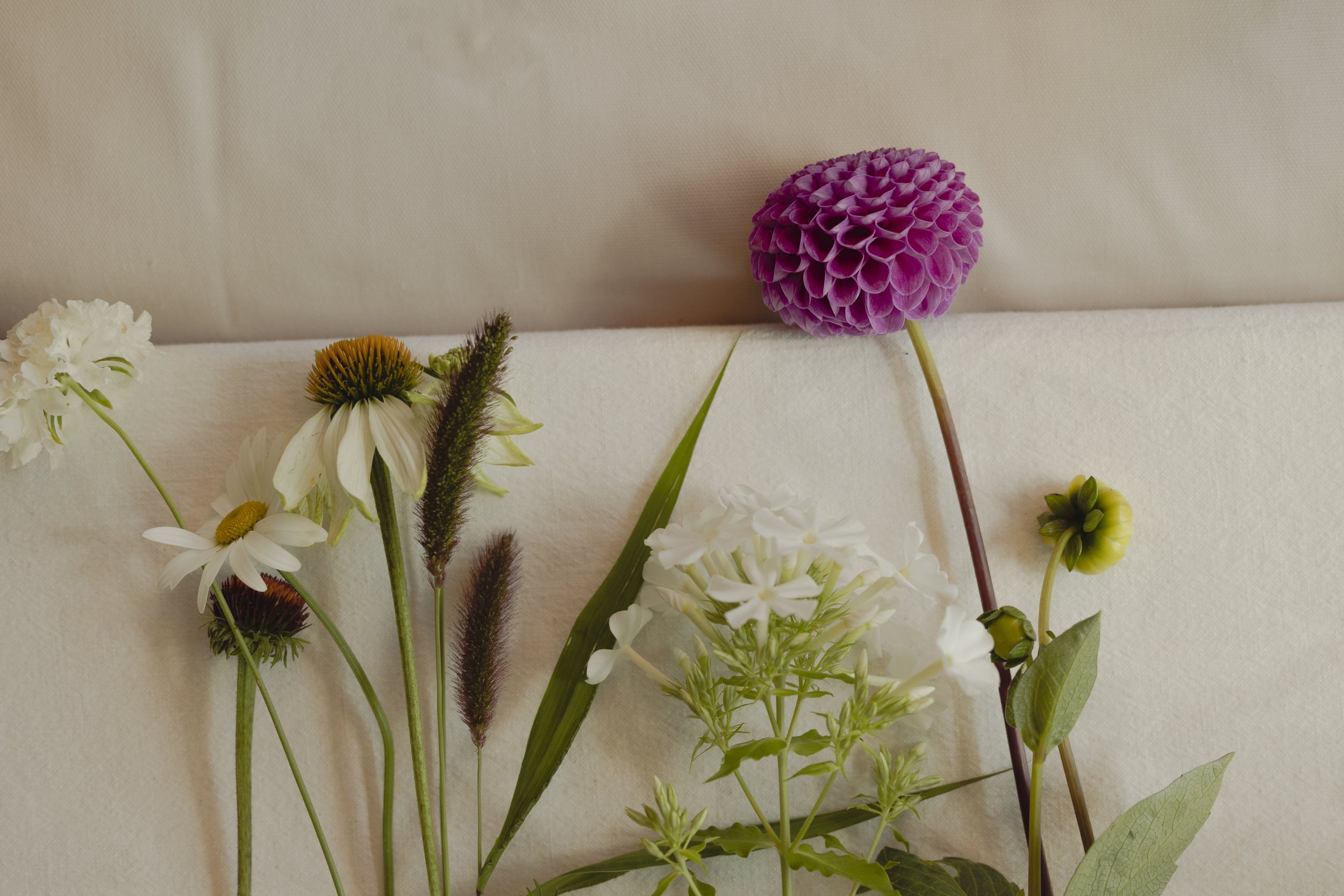 Botanical Life Drawing