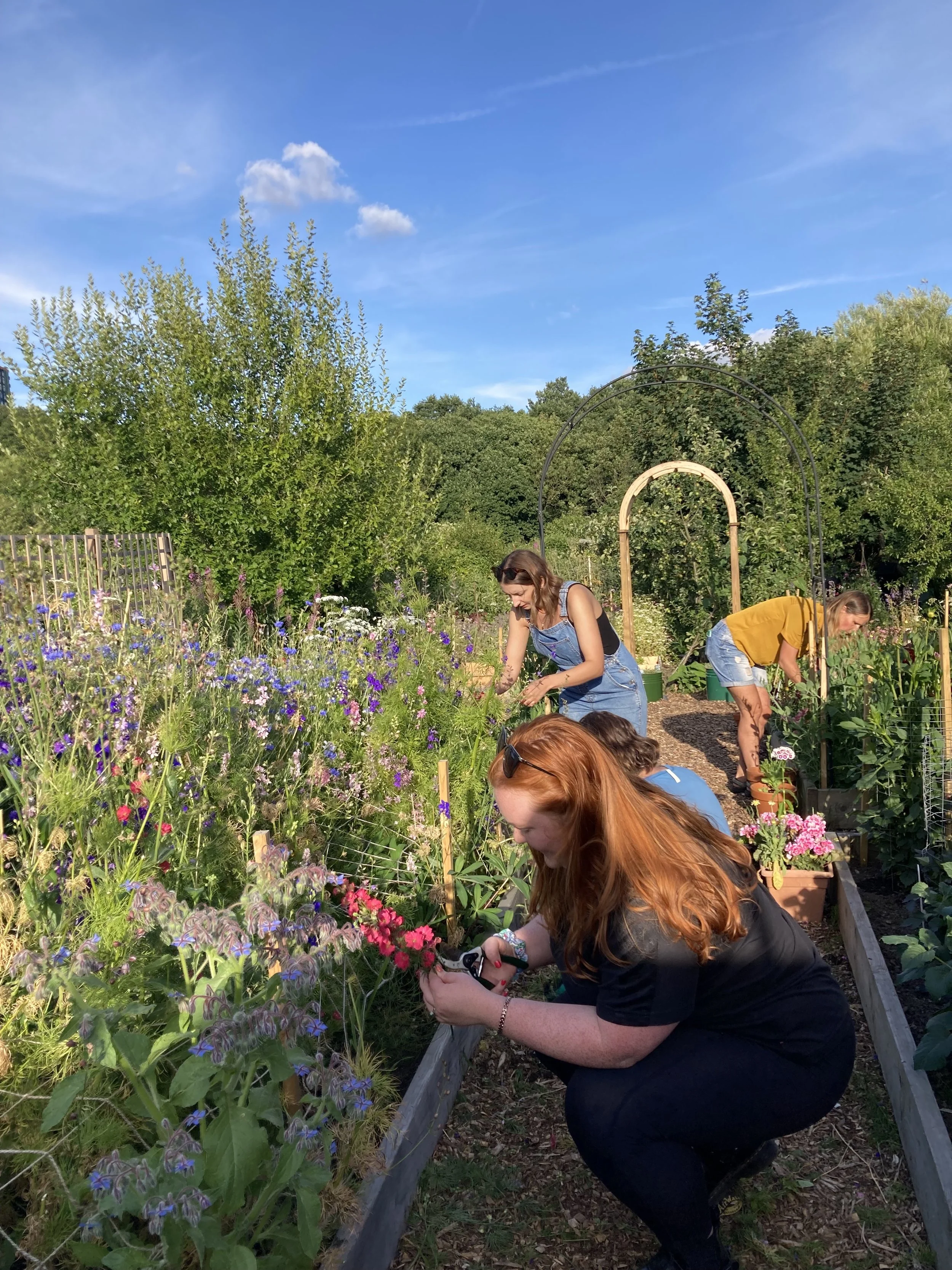 Bloom Sheffield gardening group.jpg