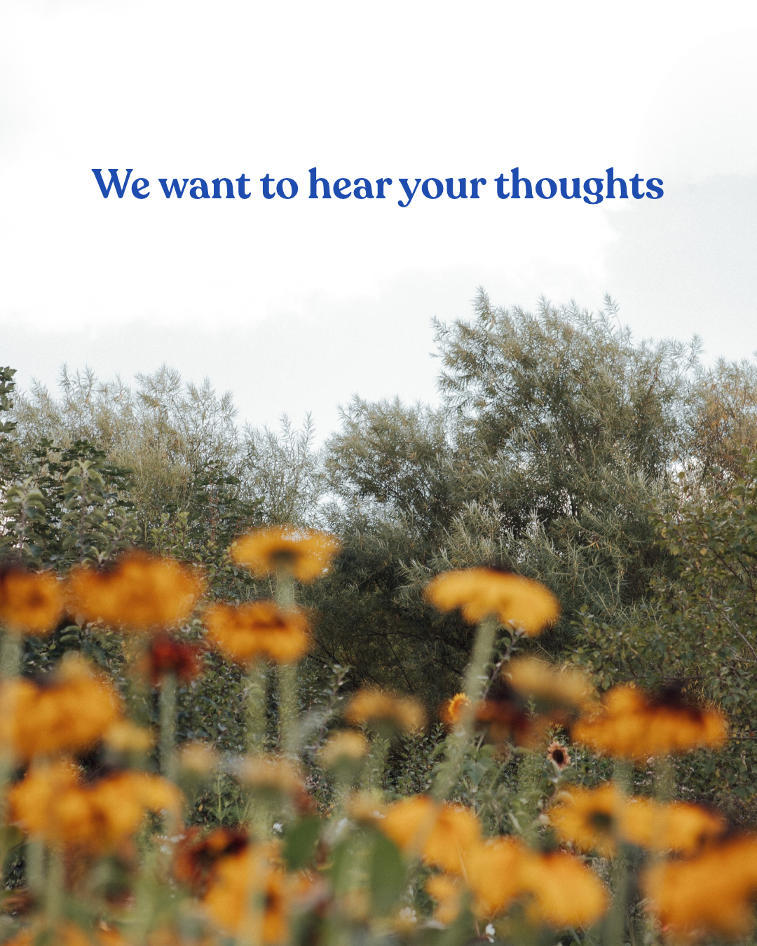 Community Consultation 2026
