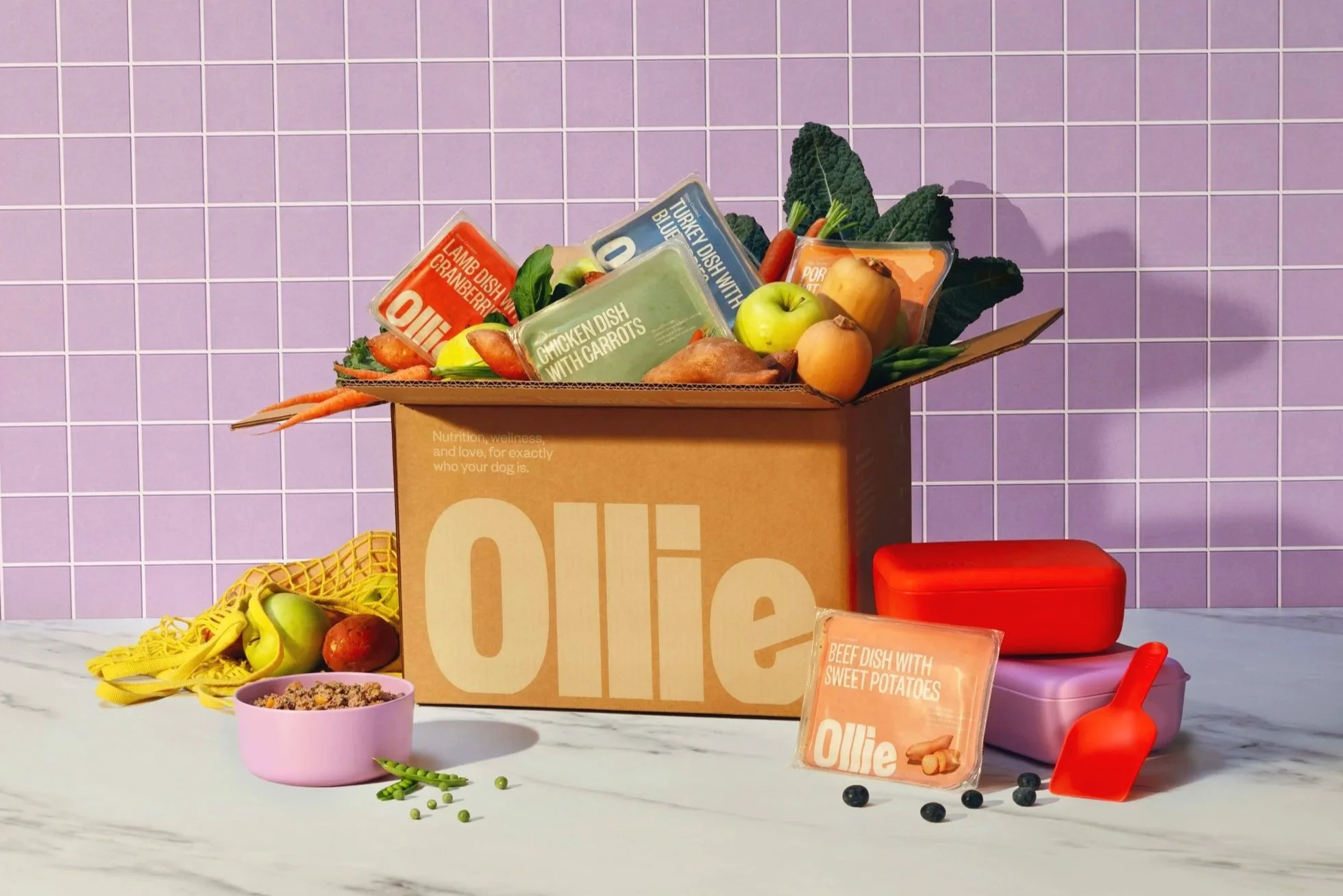 20260303_Tayler_Smith_Ollie_Family_Shot_Still_Life_0396.jpg