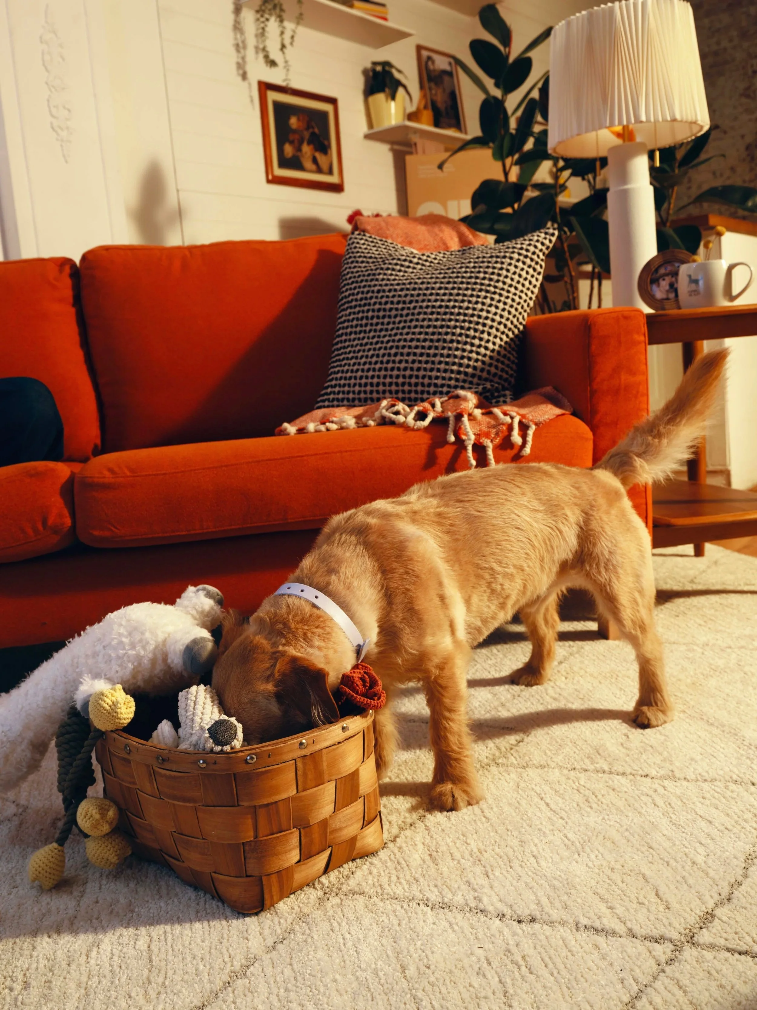 20260303_Tayler_Smith_Ollie_Shot_12_Parker_Couch_With_Person_1625.jpg