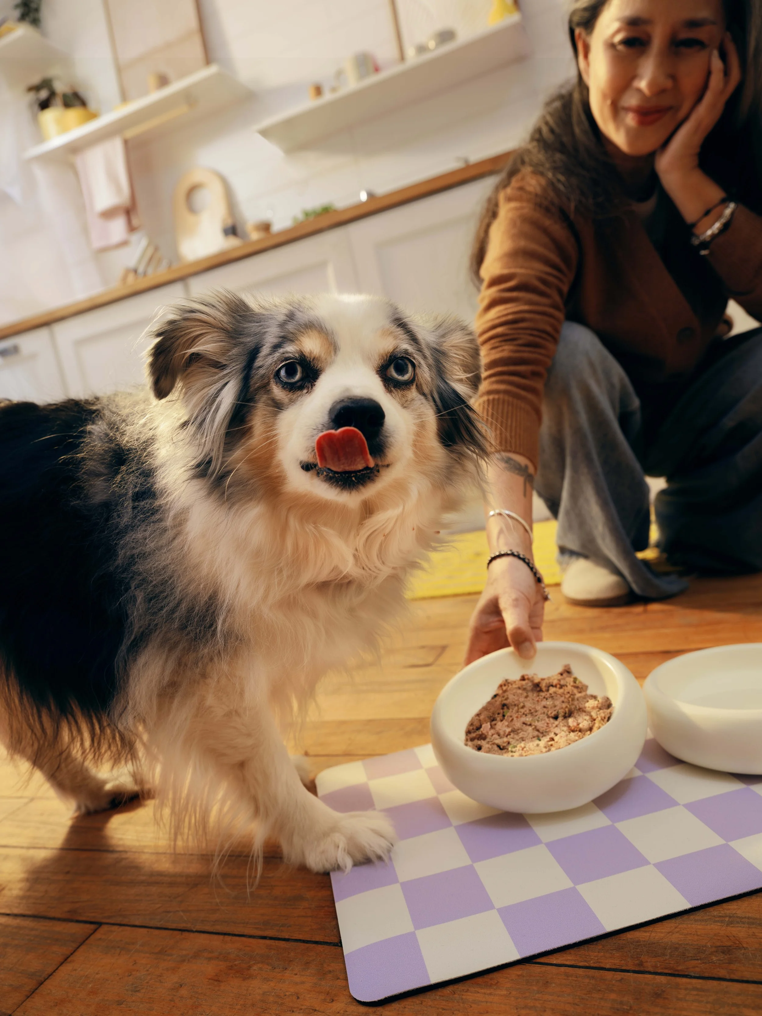 20260303_Tayler_Smith_Ollie_Shot_01_Rocket_Feeding_1328.jpg
