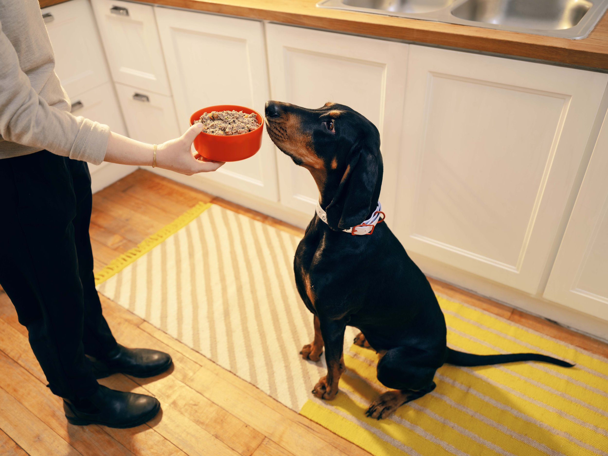 20260303_Tayler_Smith_Ollie_Shot_04_Opal_Kitchen_0567.jpg