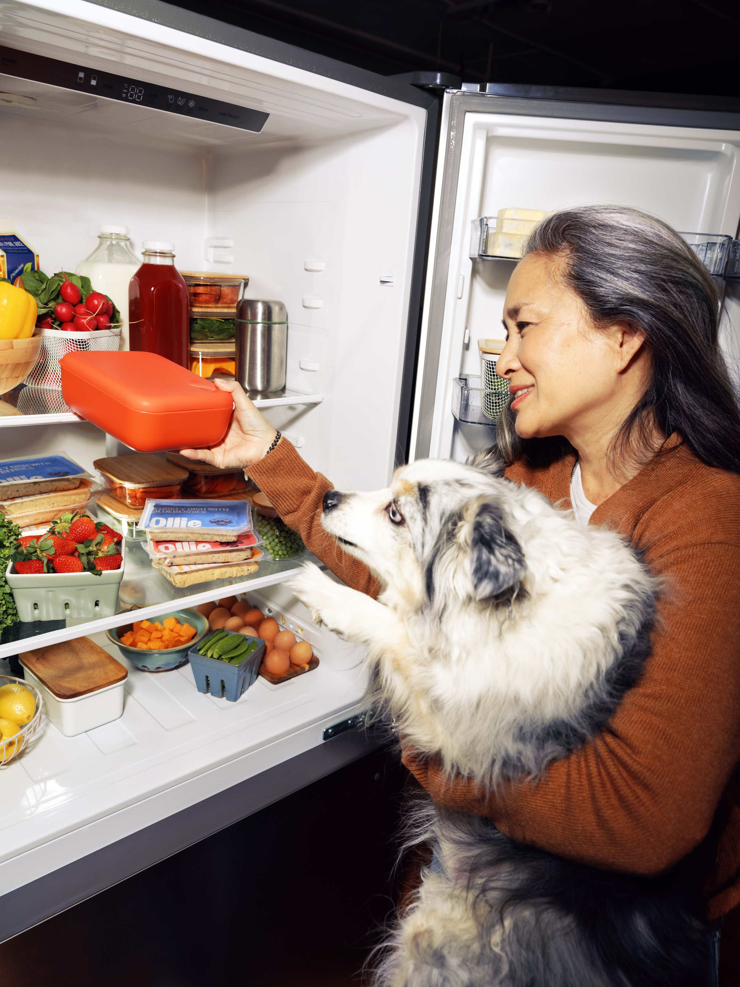 20260303_Tayler_Smith_Ollie_Shot_06_Dogs_Fridge_0964.jpg