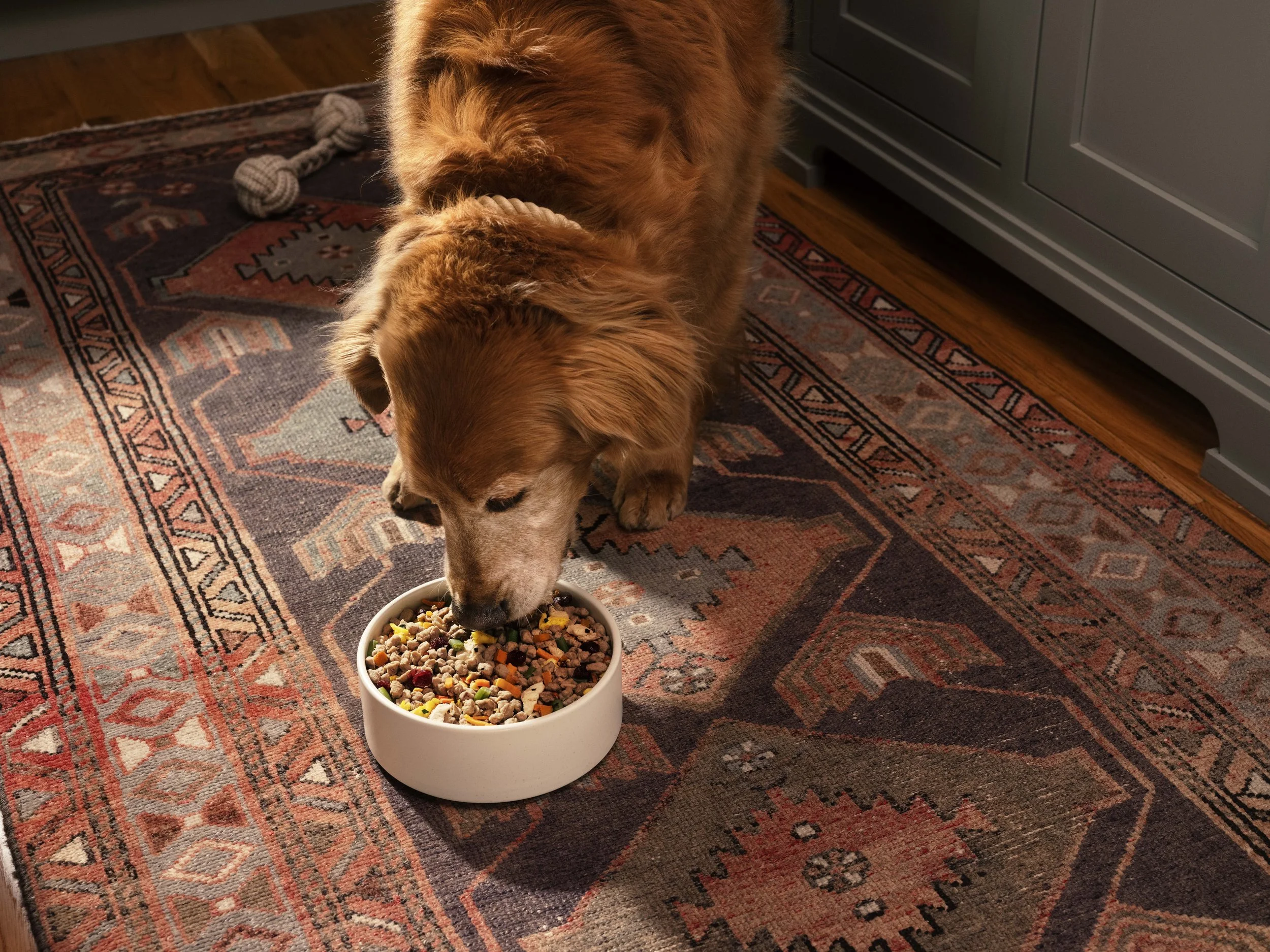 Day_2_06_Homestyle_Pet_Eating_5423_R3.jpg