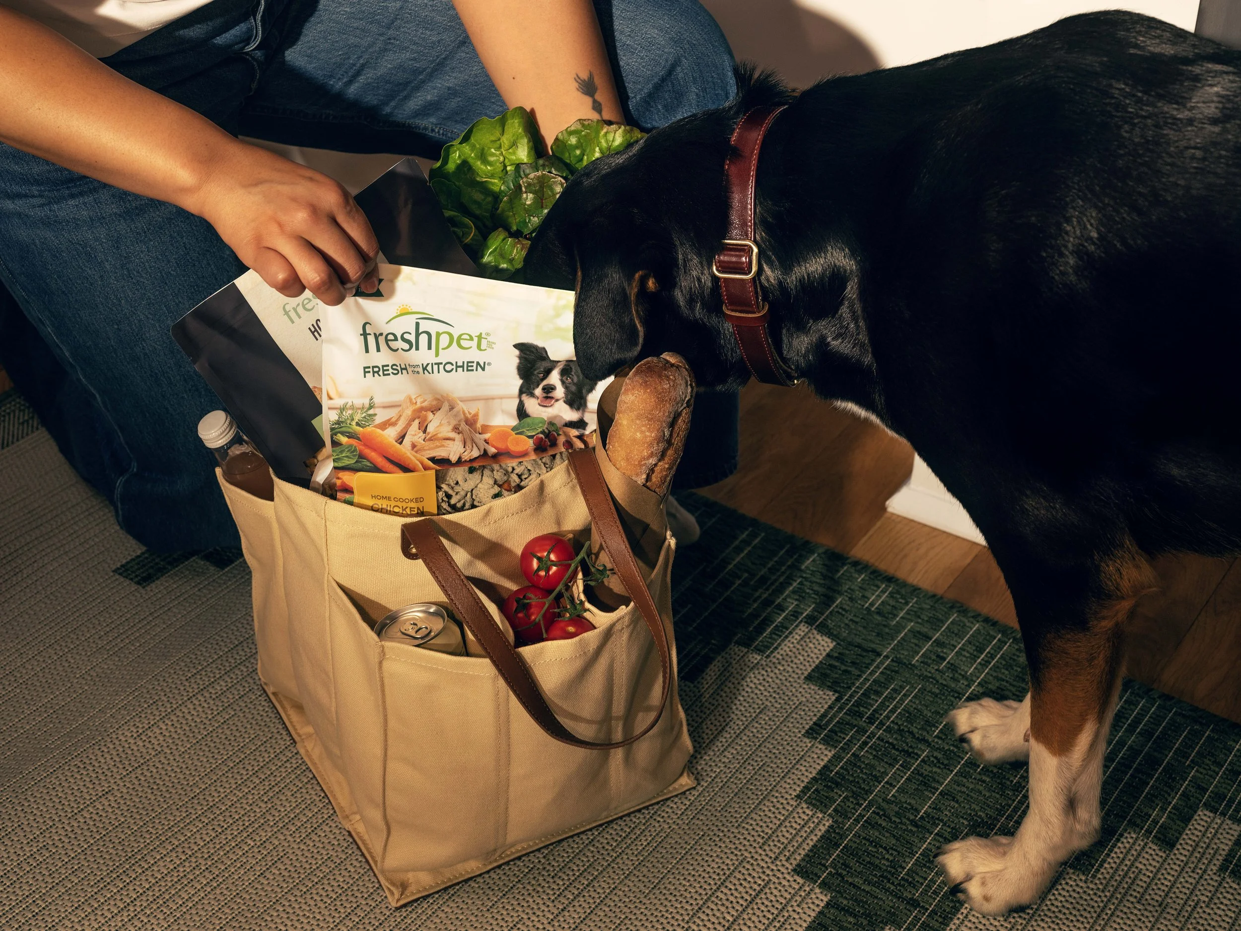Day_2_09_Dog_With_Grocery_5289_R3.jpg
