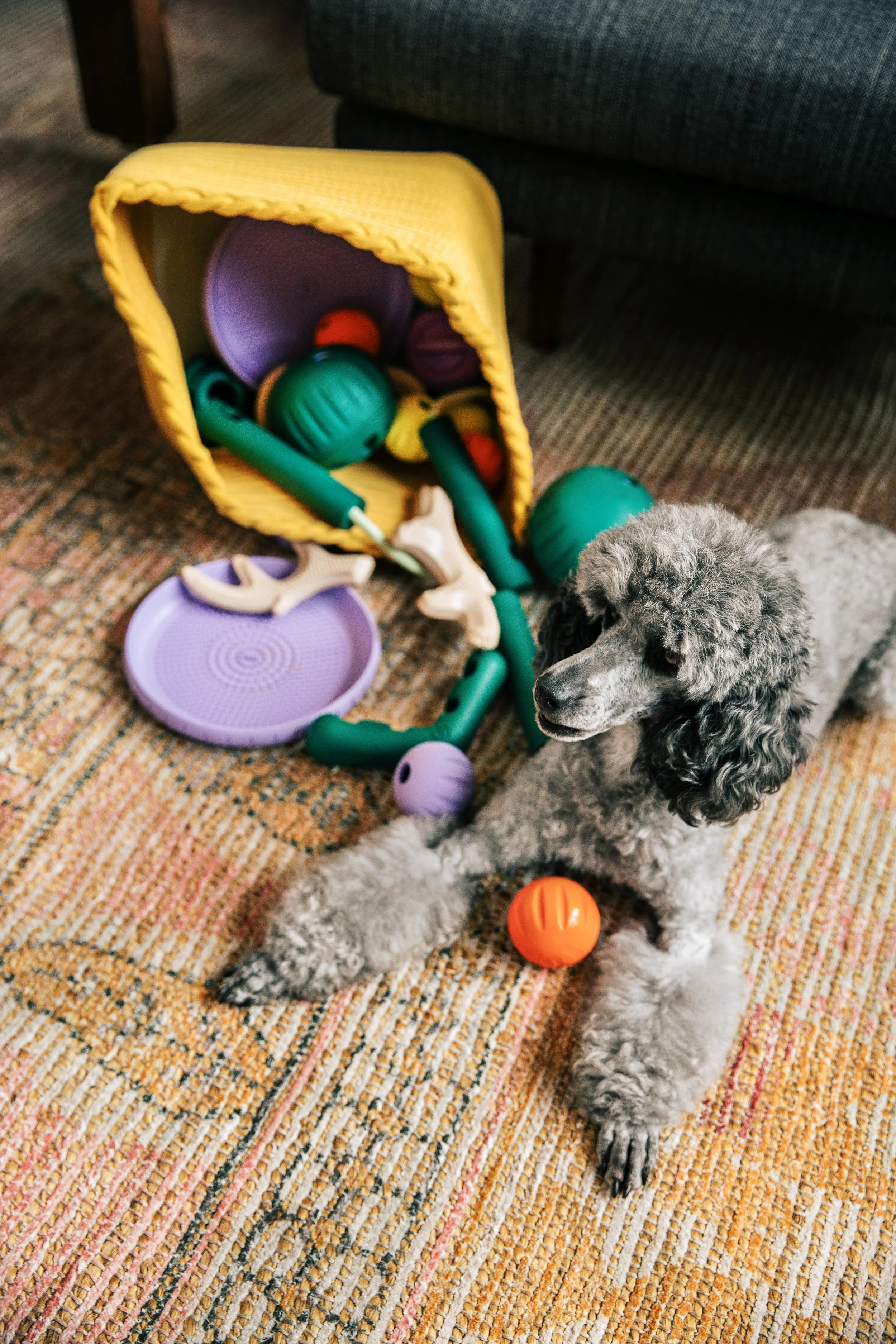 MyWoof_TaylerSmith_July_2025_22_2026VERSION.jpg
