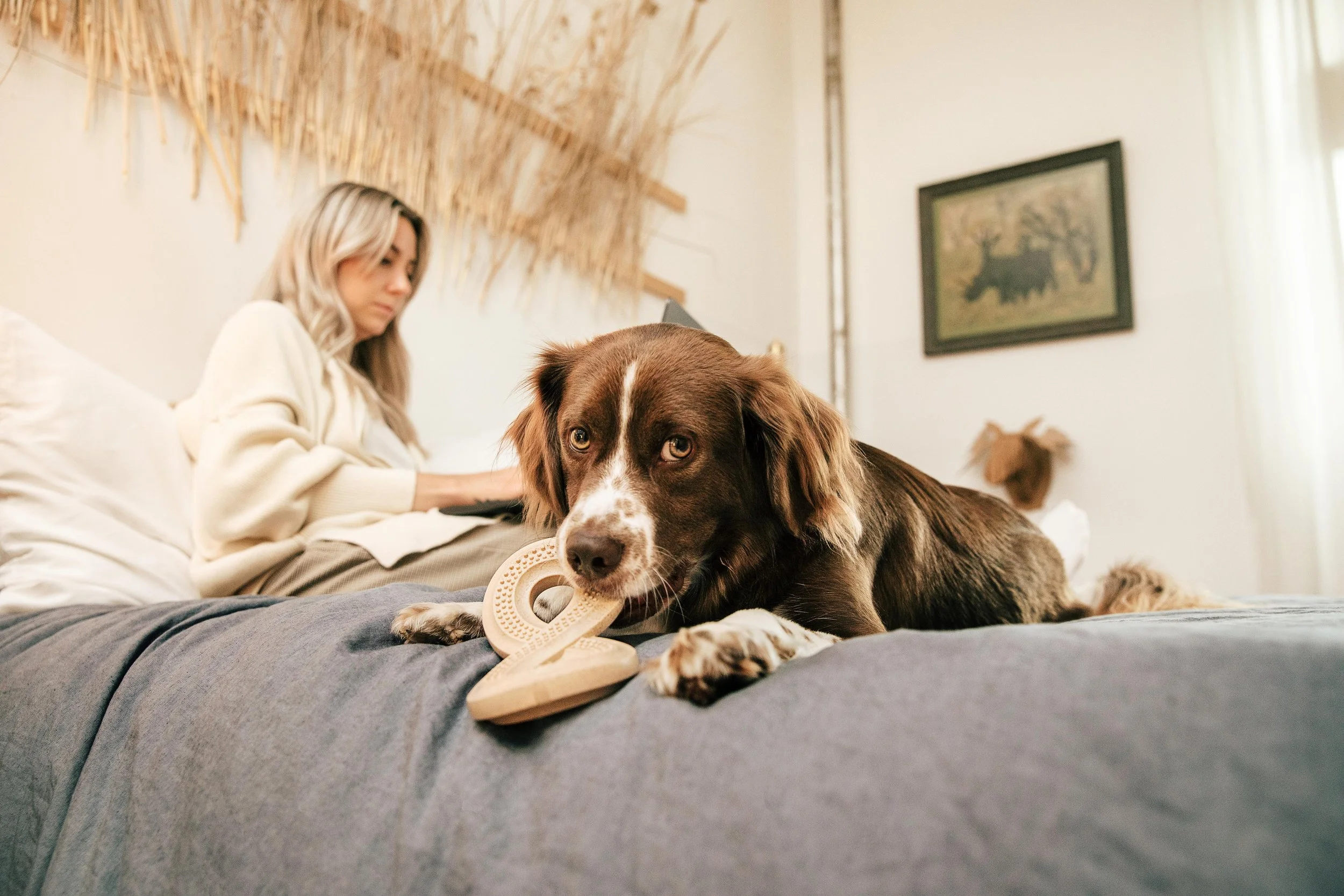MyWoof_TaylerSmith_July_2025_18_2026VERSION.jpg