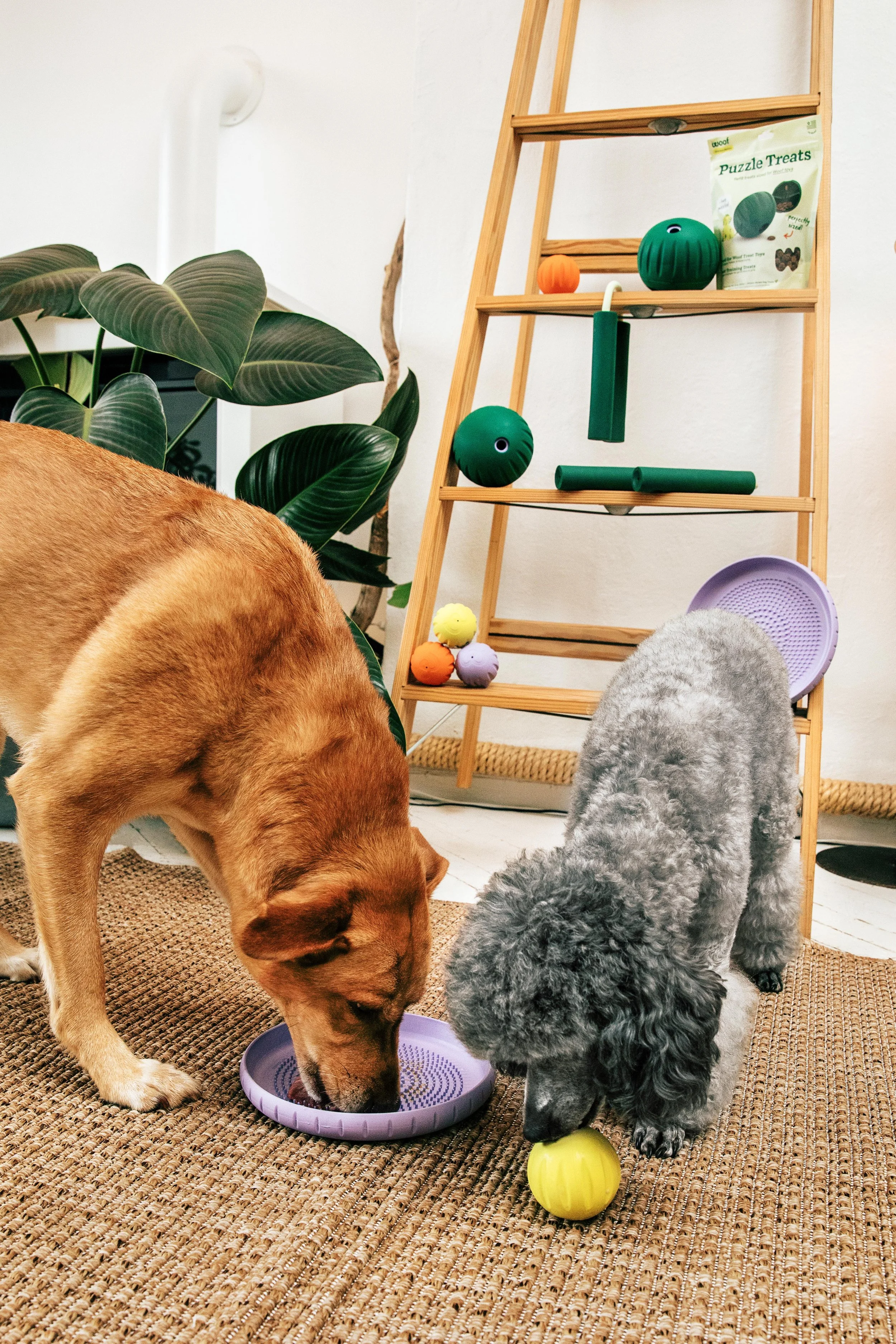 MyWoof_TaylerSmith_July_2025_19_2026VERSION.jpg