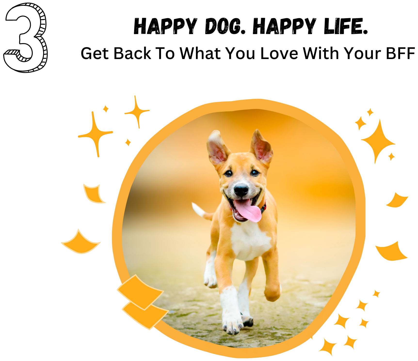 Houston Mobile Groomer Near Me