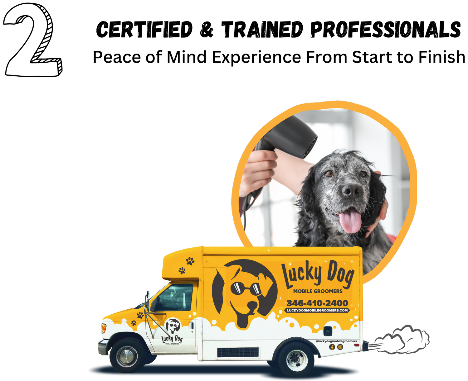 Mobile Groomer Near Me