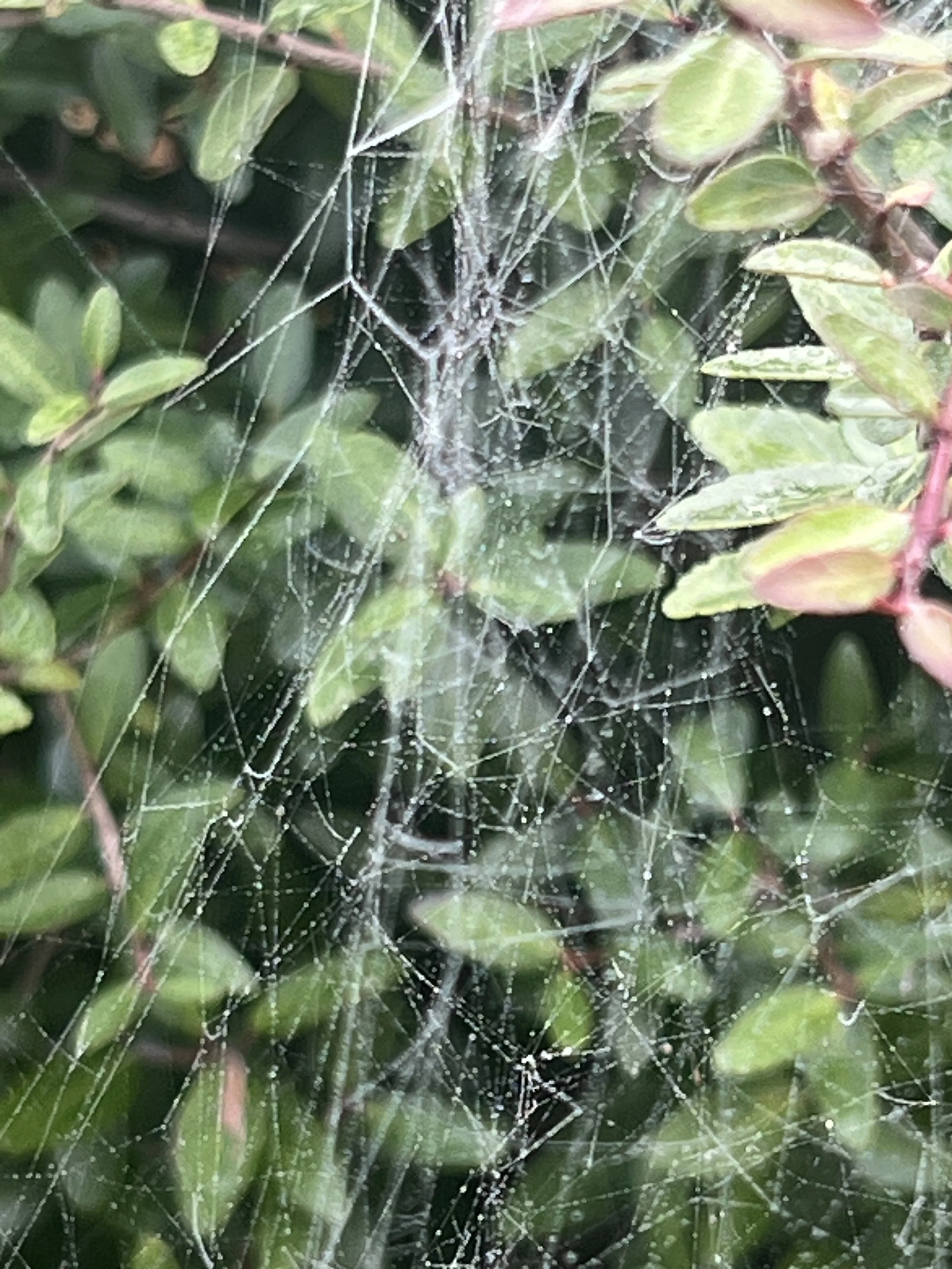 IMG_2640.jpeg