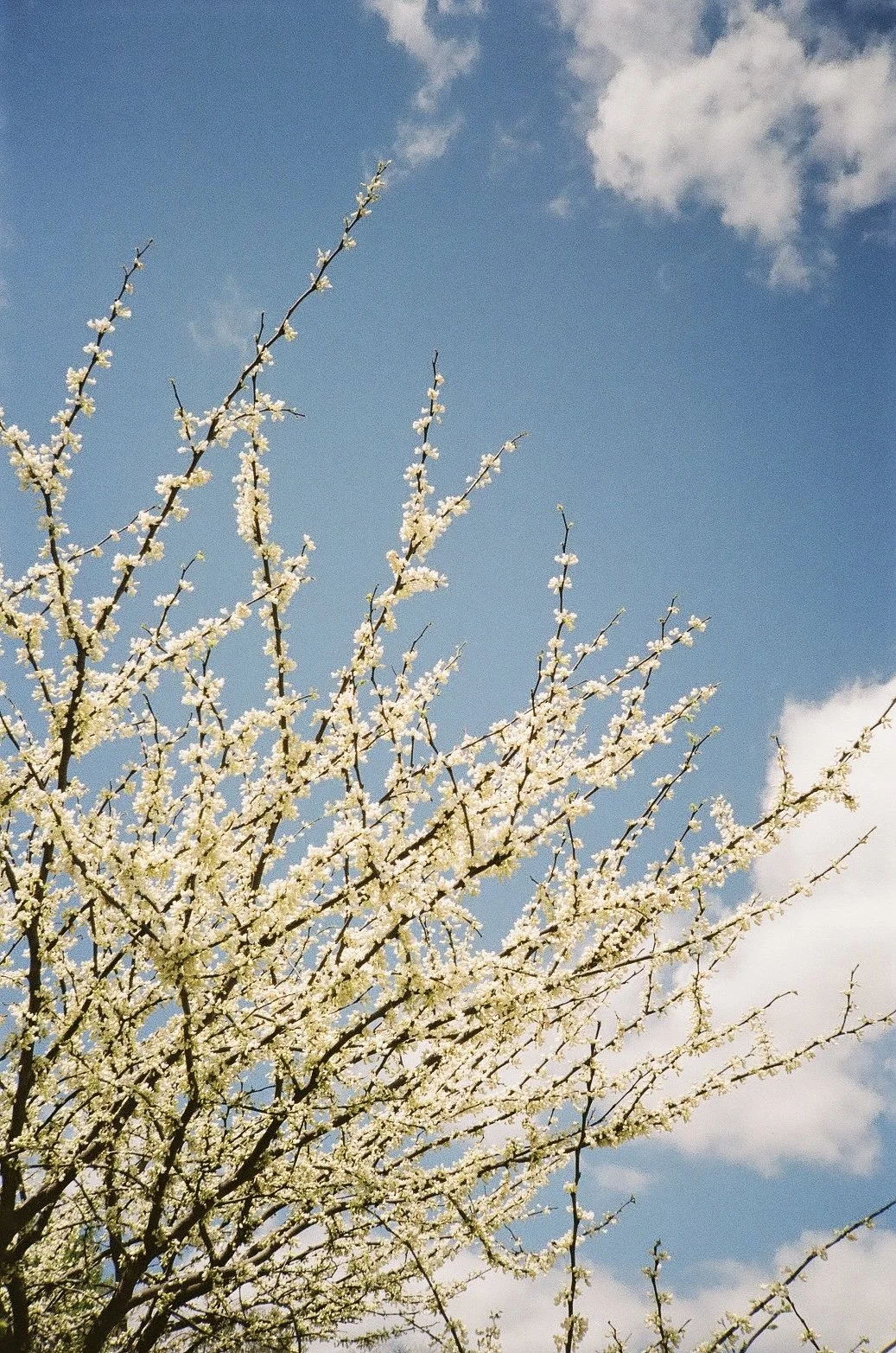 IMG_8974.jpg