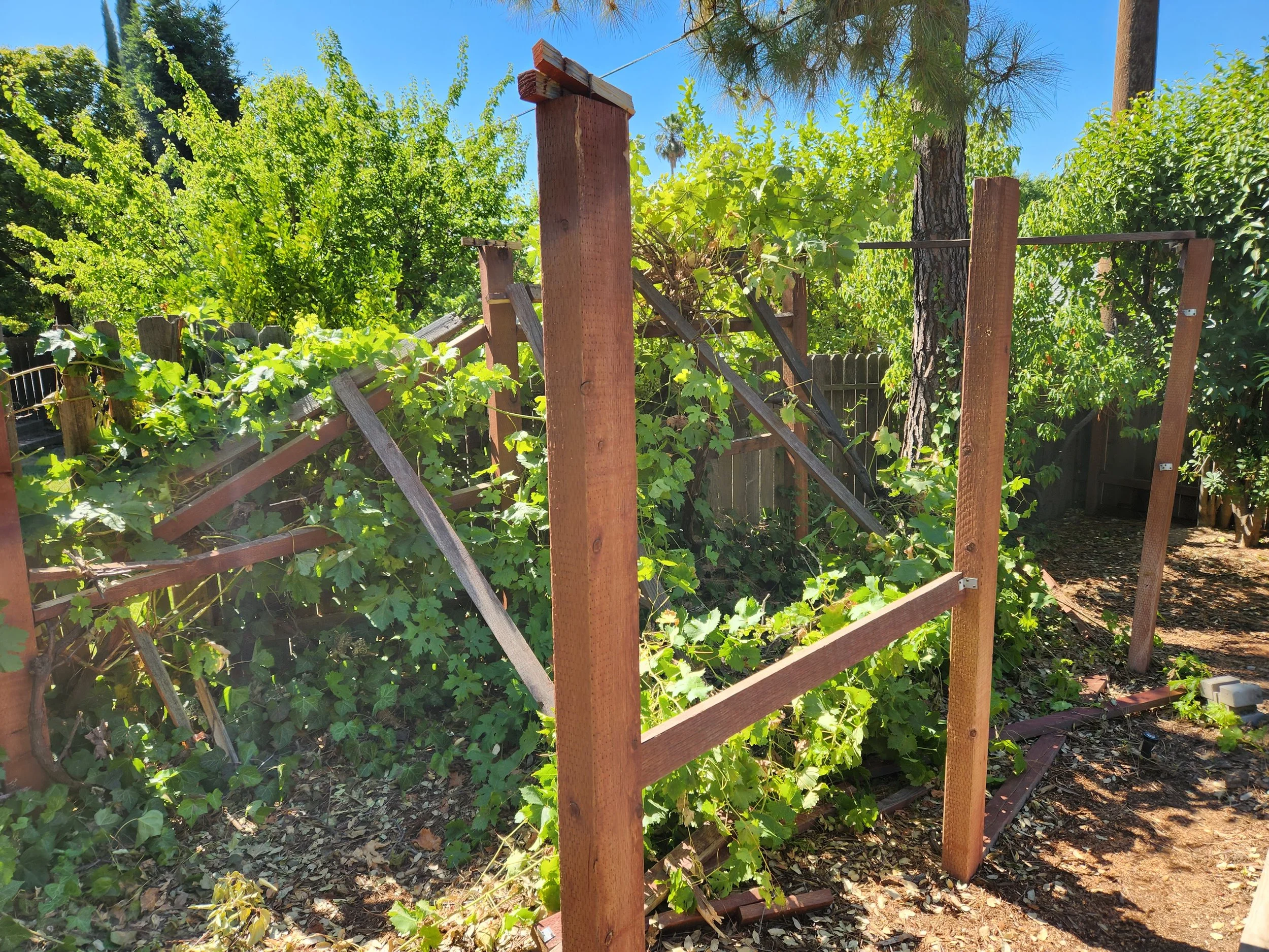 A tree fell and broke the arbor