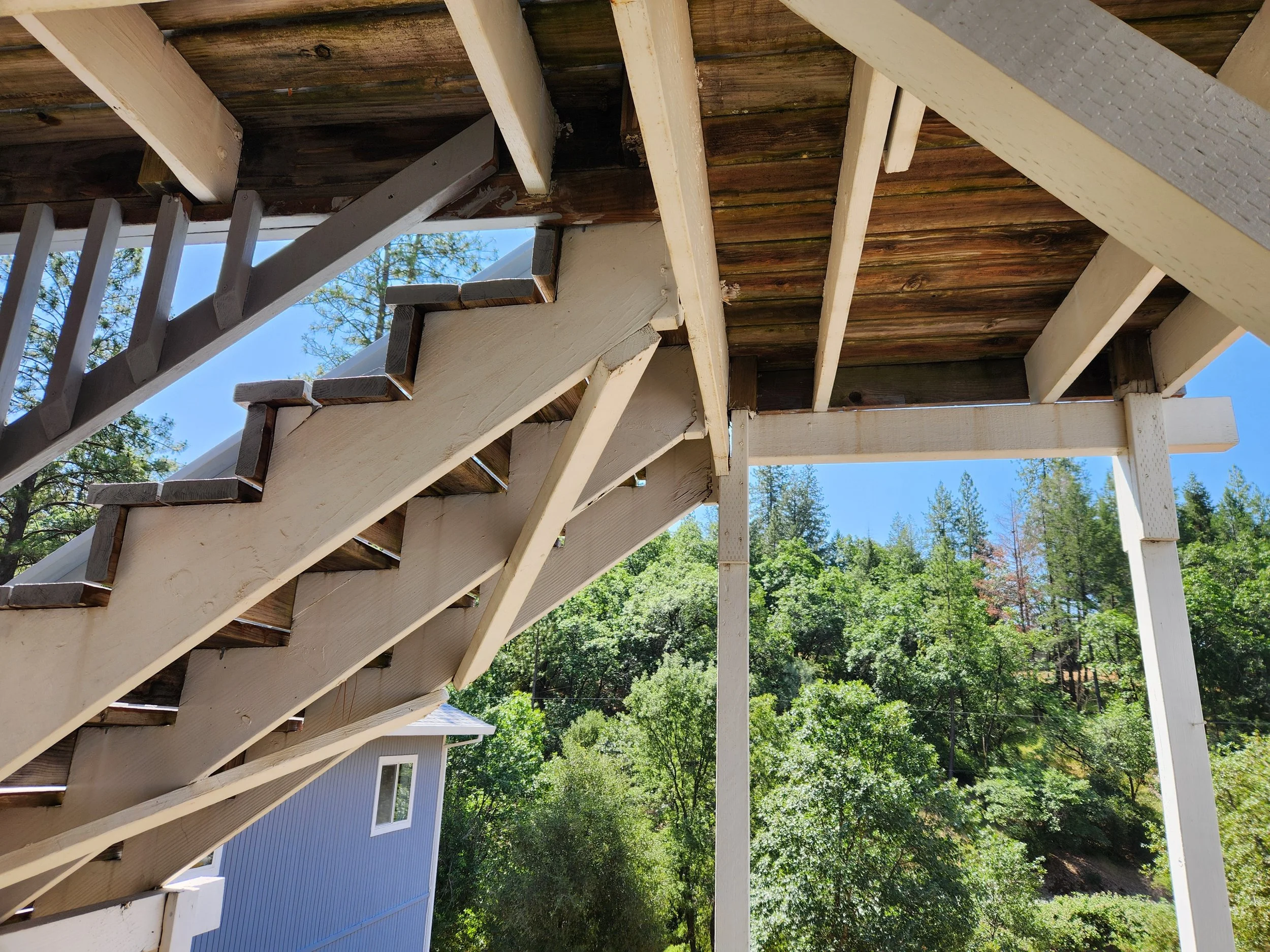 Bad dry rot under the stairs