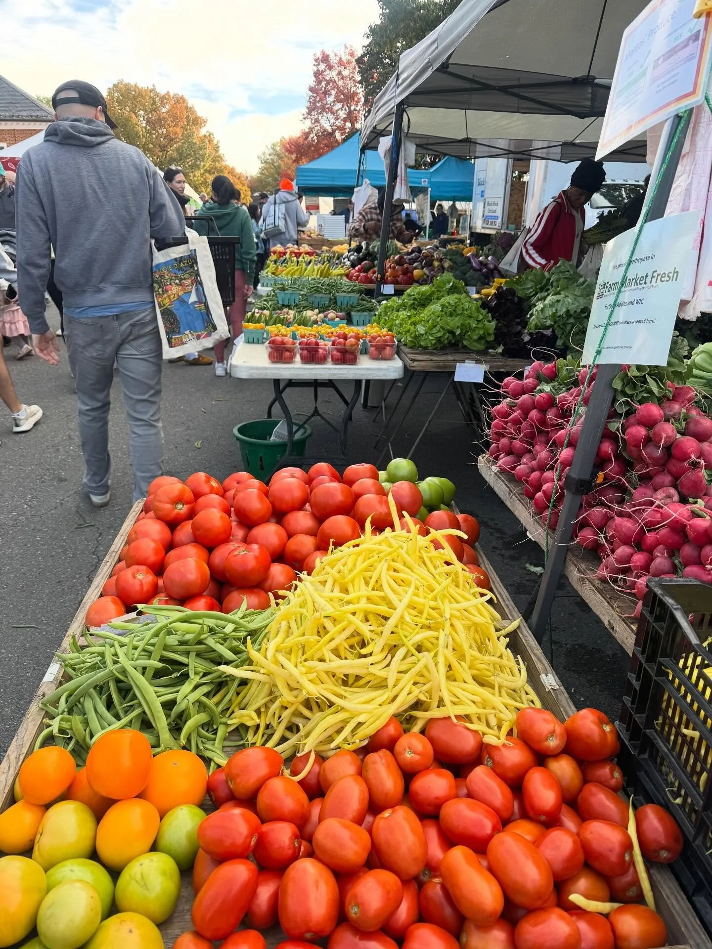 A fantastic day for a walk around Falls Church farmers market!