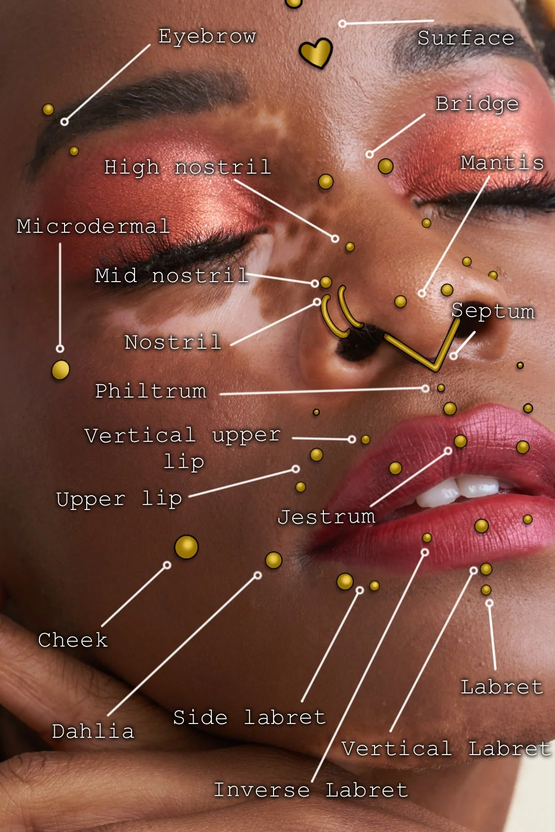 Facial_Piercings copy.jpg