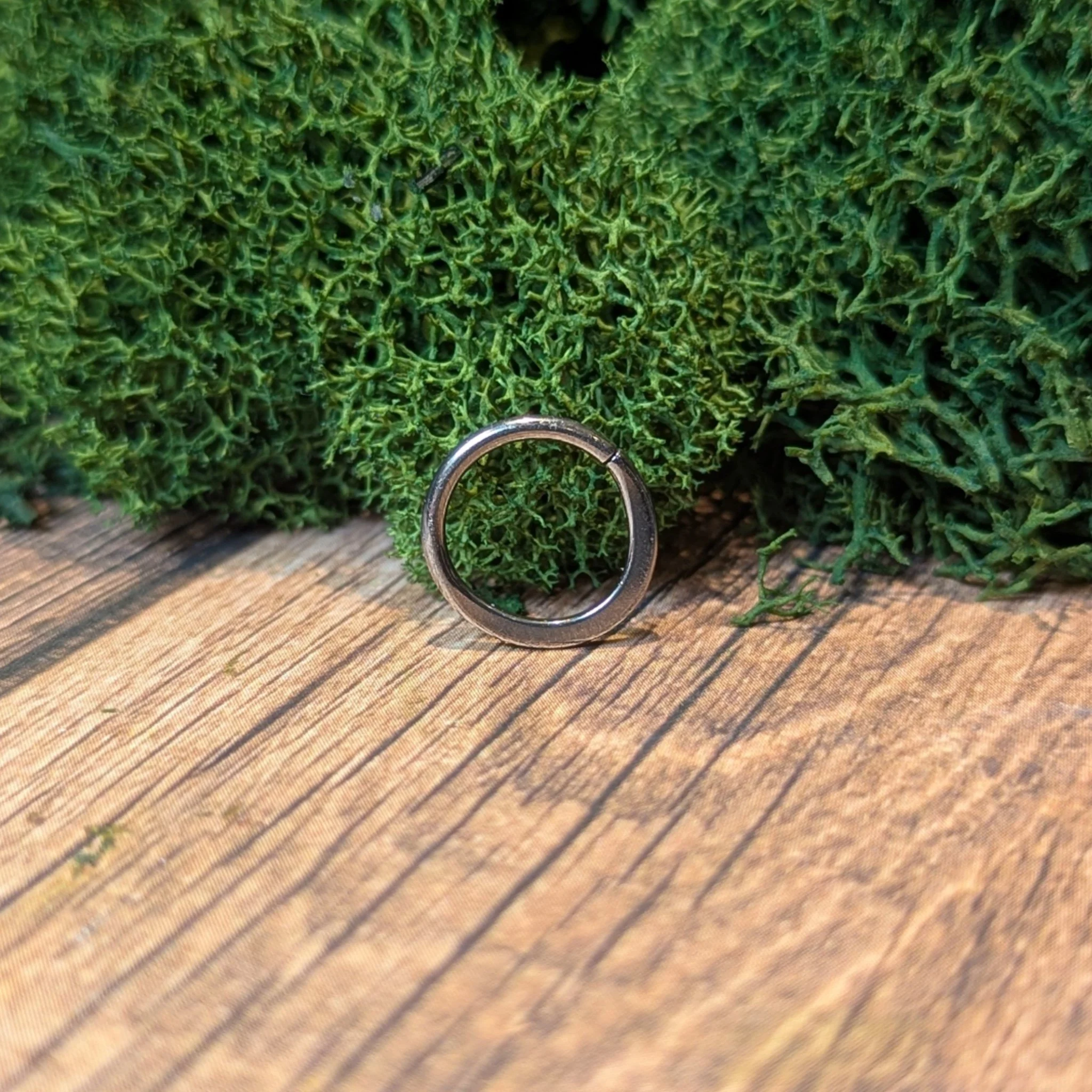 Black forest. Flattened seamless ring