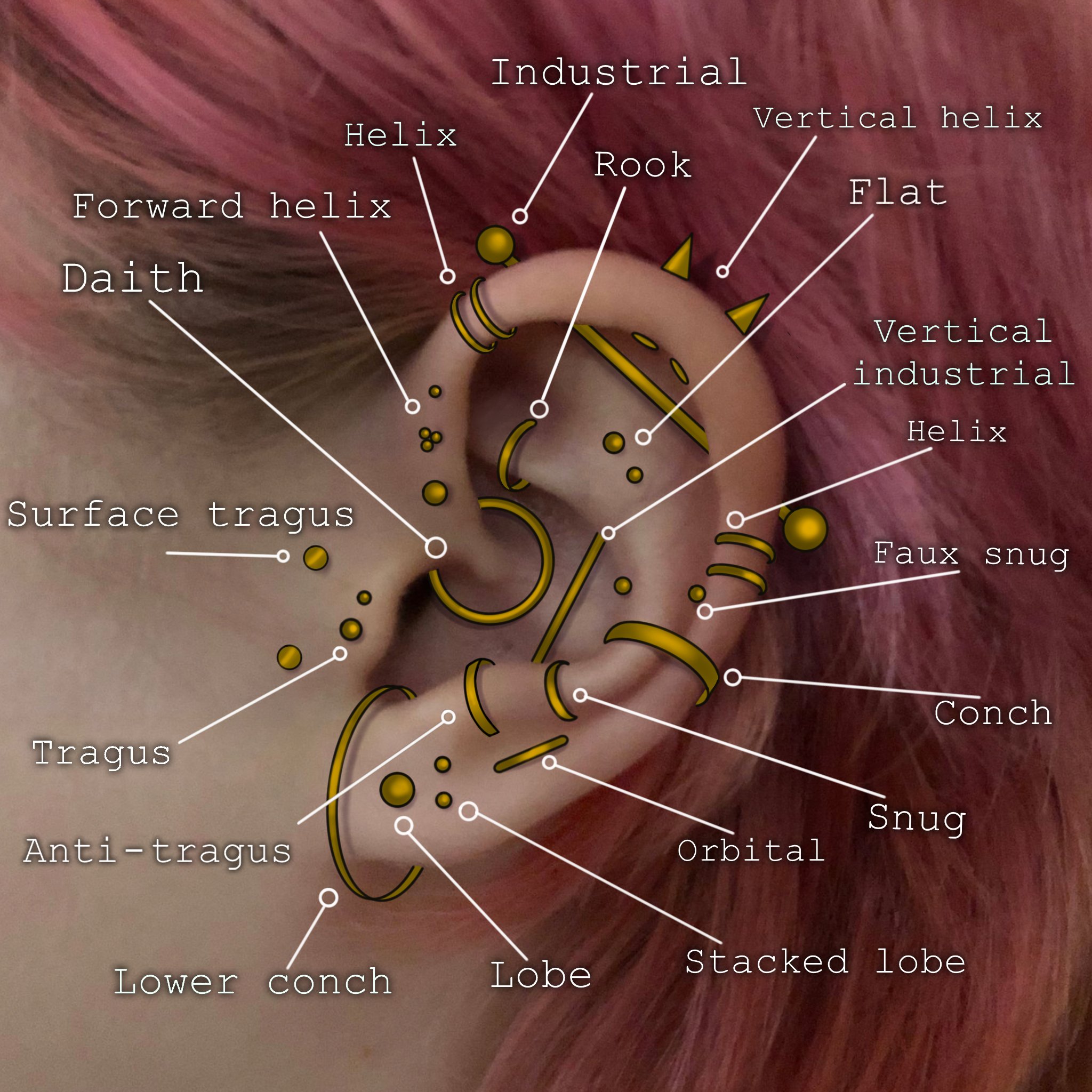 ear piercings copy.jpg
