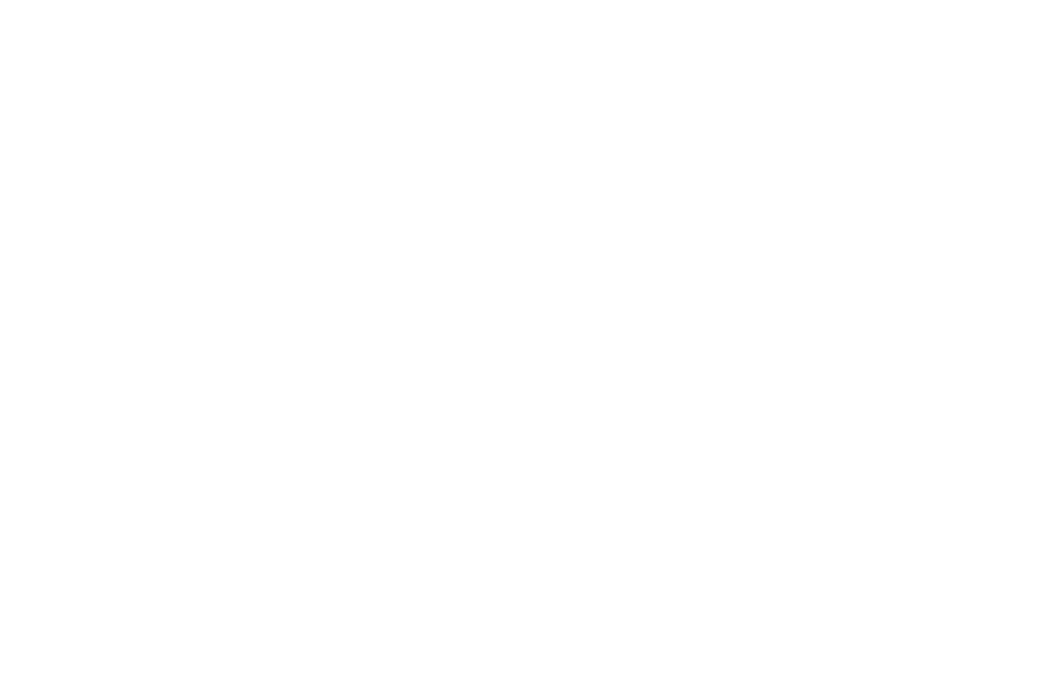 Pam Barlow