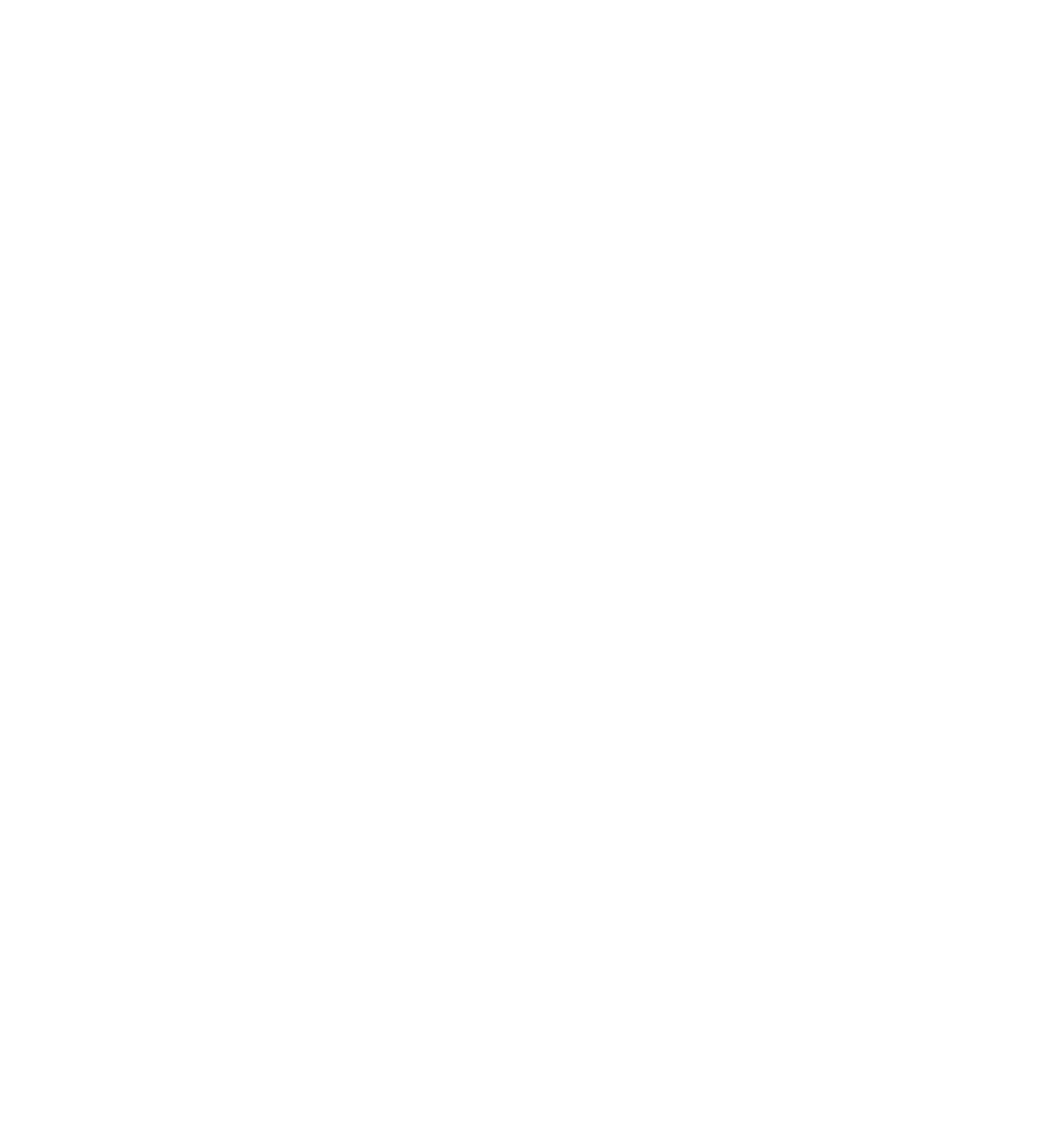 Wise Guidance