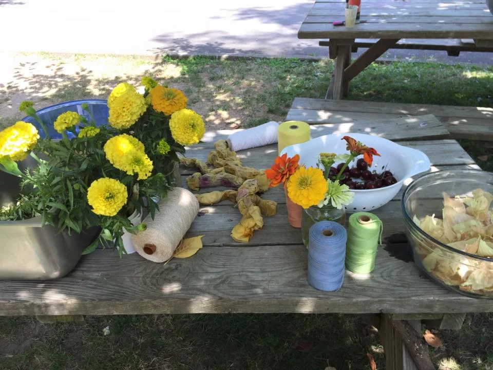 Prep table for natural dyeing with fresh flowers, cherries, and onion skins.