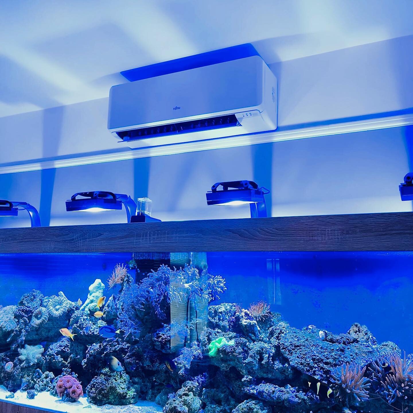 After last years heat, this customer asked us to fit a unit to help keep his tropical fish at a steady temperature come the heatwaves. If you want to keep Nemo (or yourself) happy this summer, give us a call for a free site survey and quotation. .

#