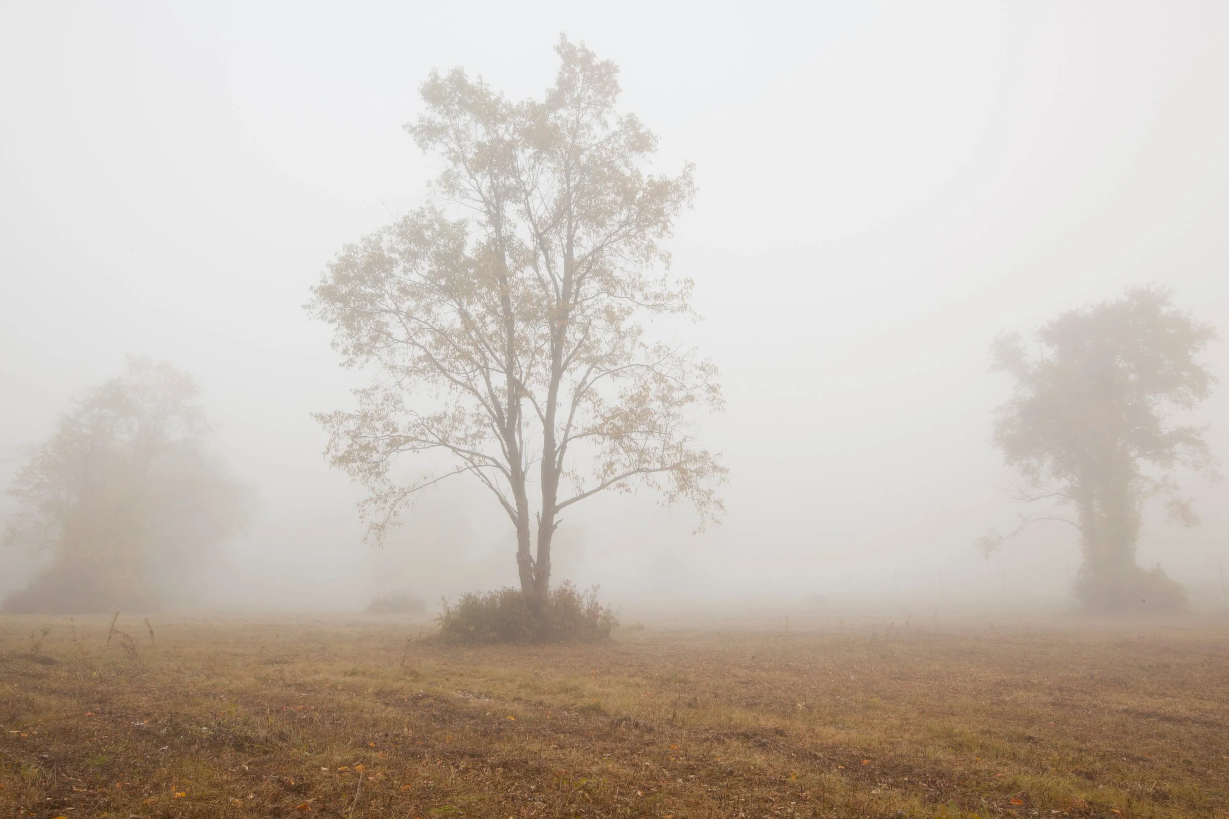 AdobeStock_93263635.jpeg