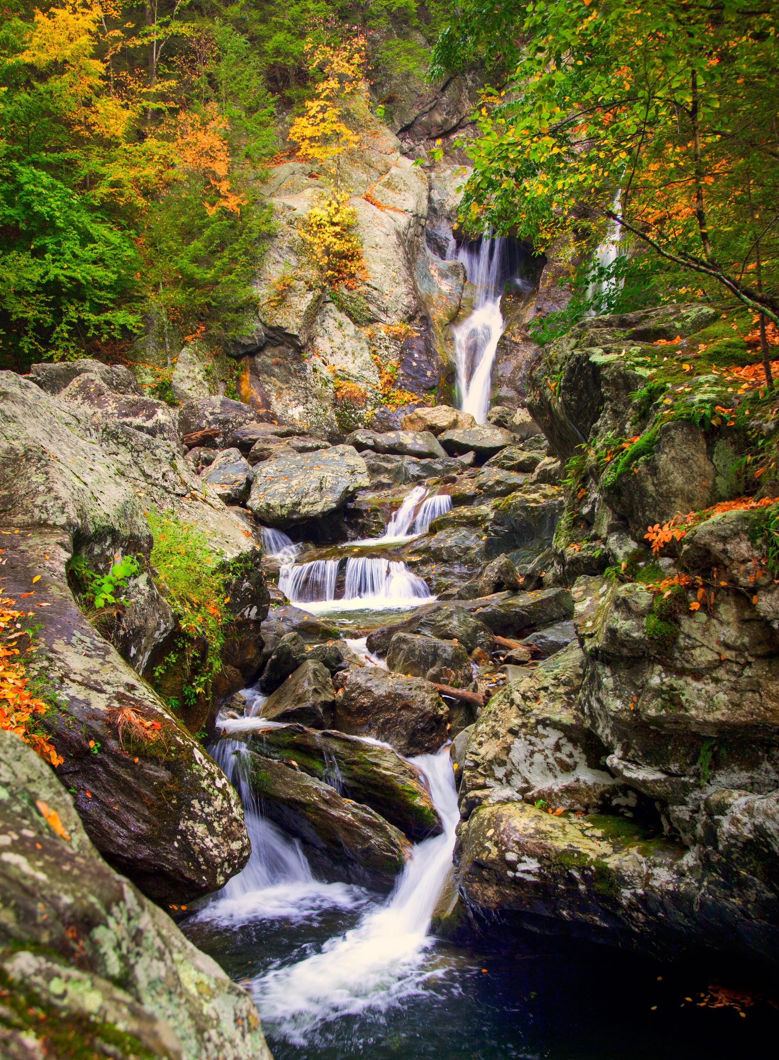 AdobeStock_26532879.jpeg
