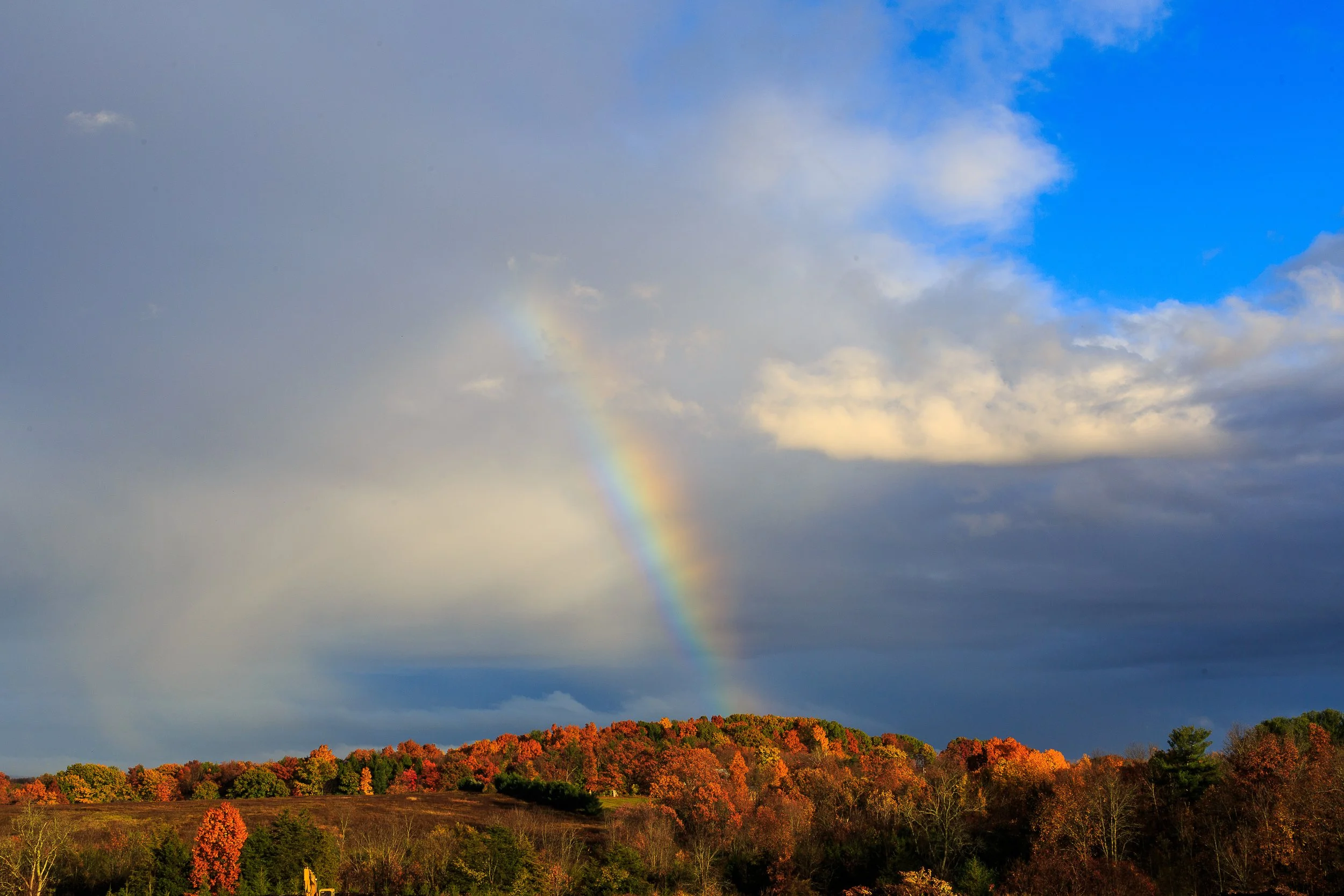 AdobeStock_125705784.jpeg