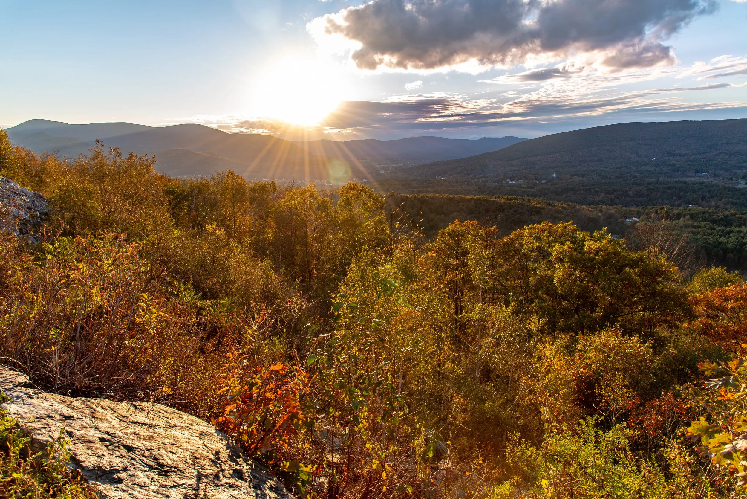 AdobeStock_256310155.jpeg