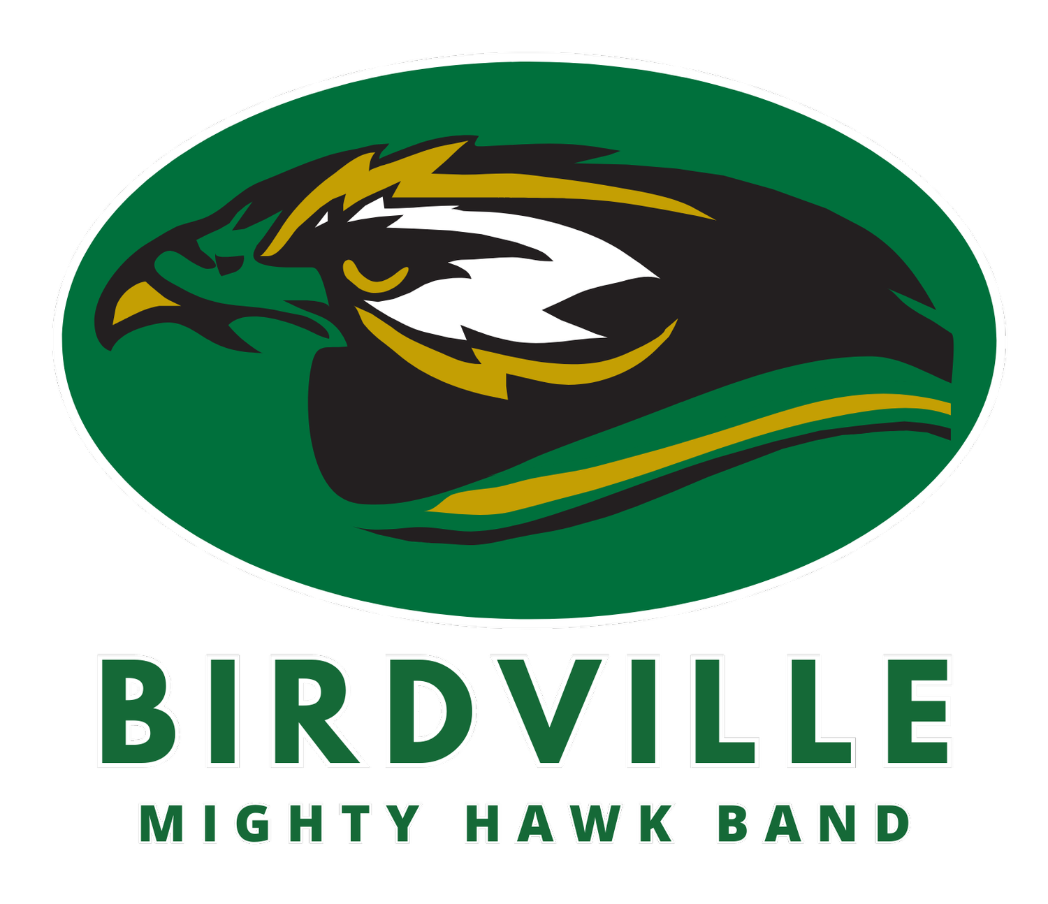 Mighty Hawk Band