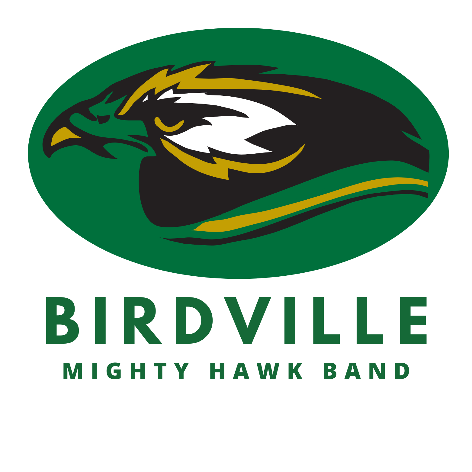 Mighty Hawk Band