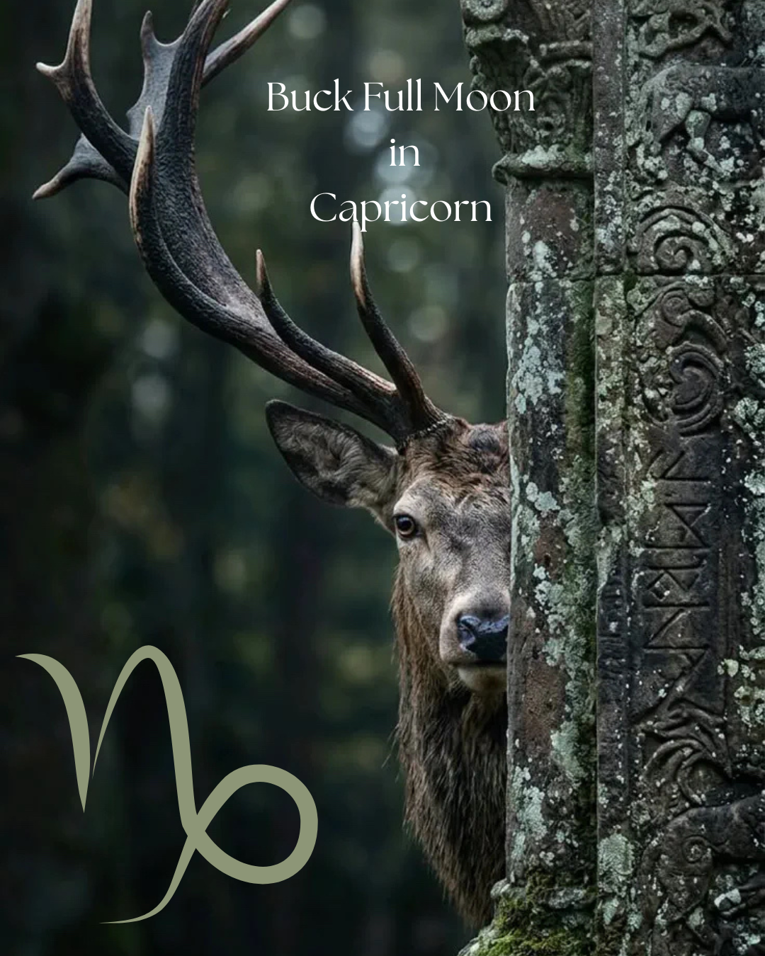 The Buck Full Moon in Capricorn