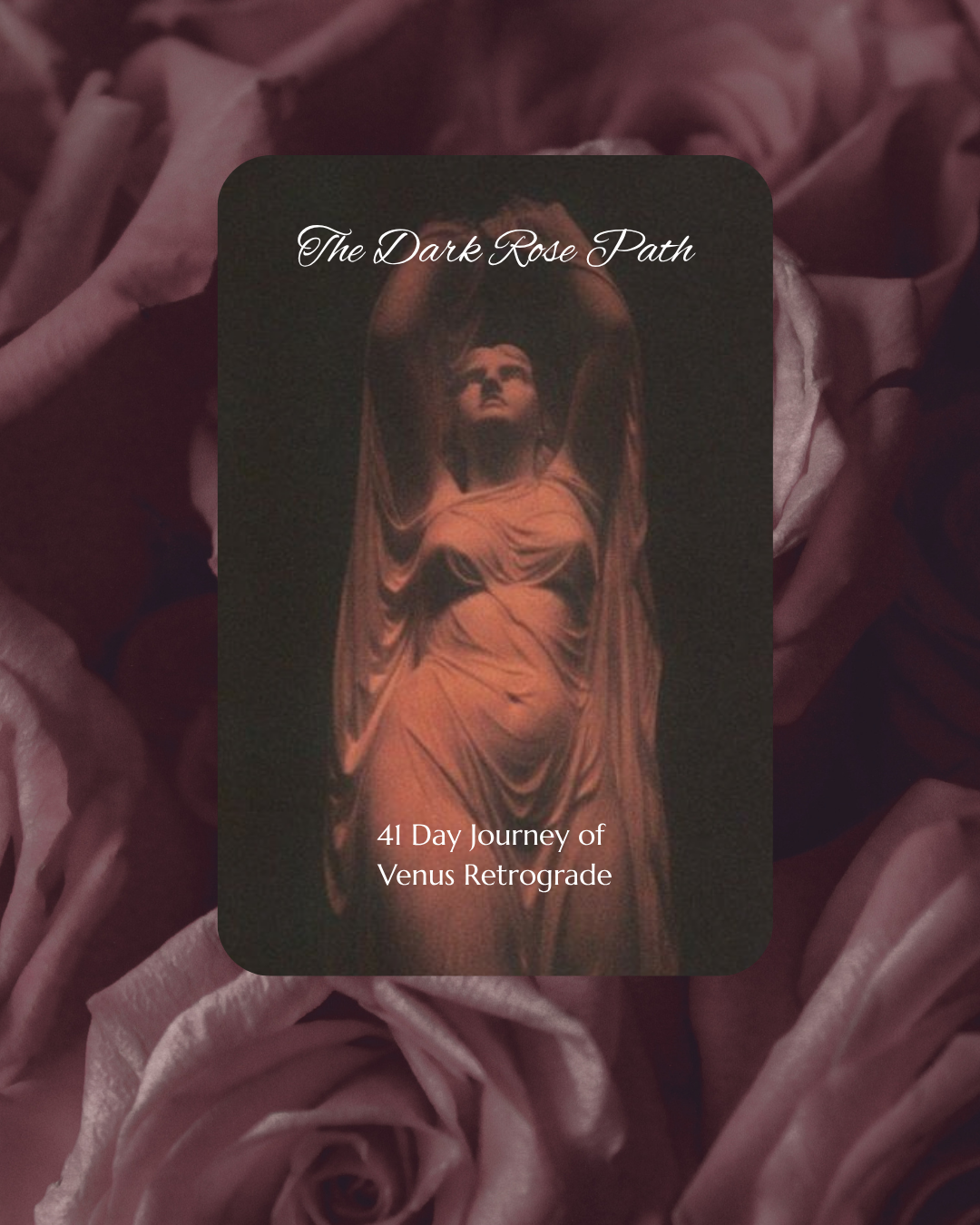 The Dark Rose Path