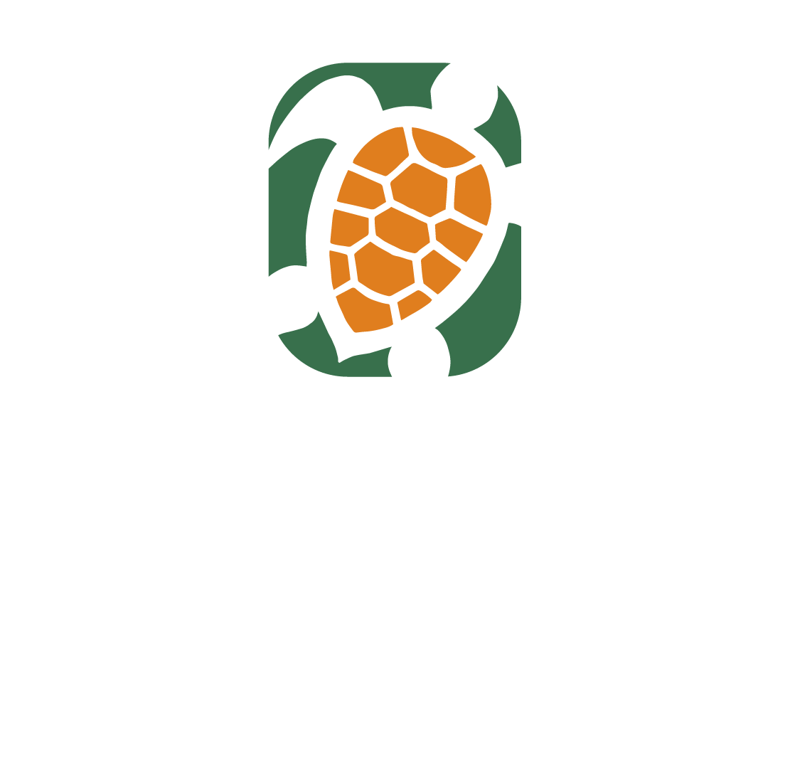 Nation Group of Companies
