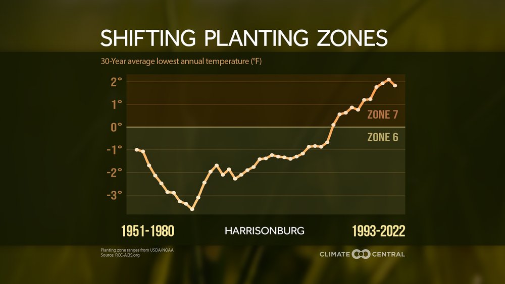 Shifting planting zones in Harrisonburg, VA