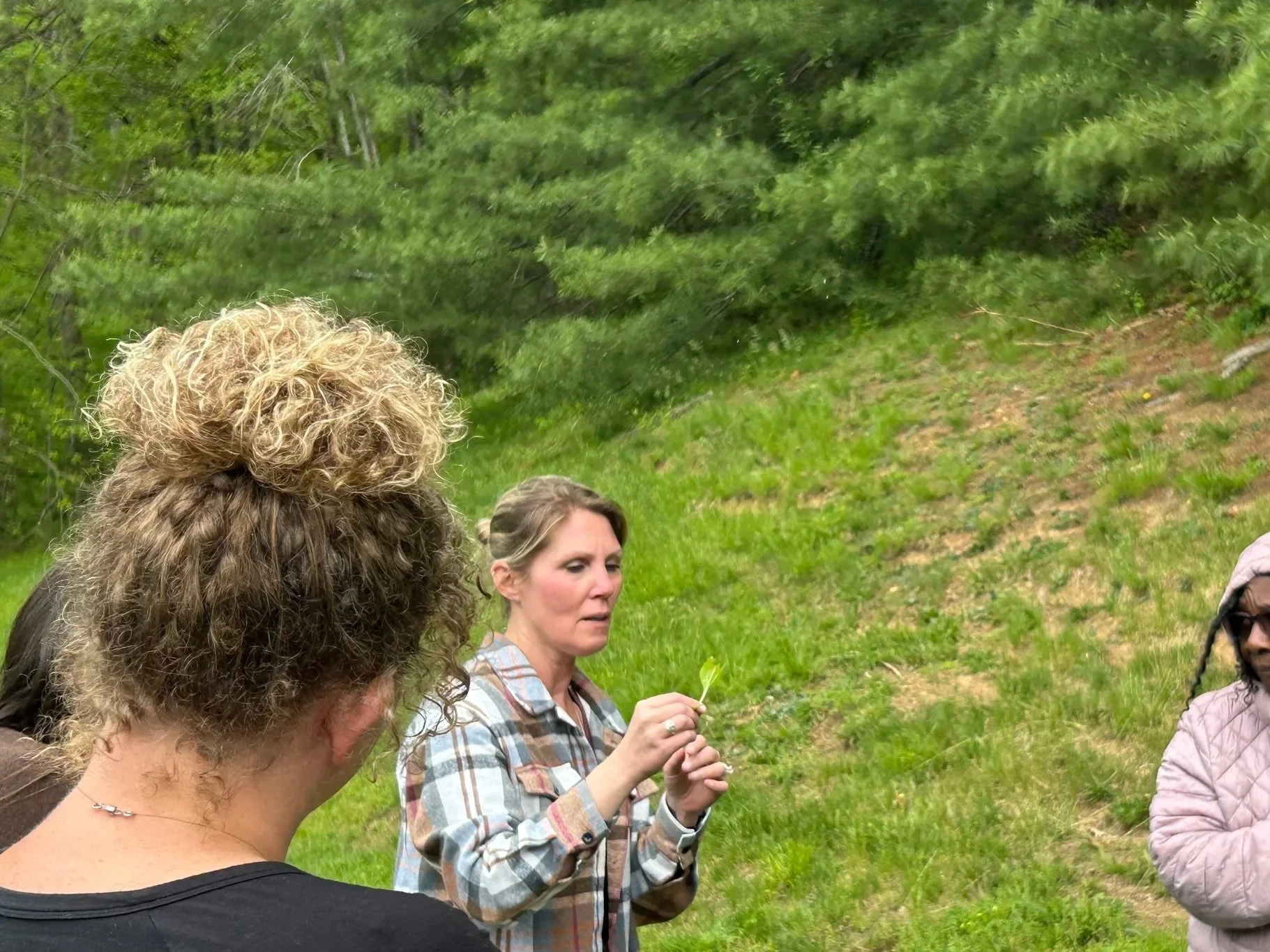 Dr. Mitcham teaching about the role of foraged food as part of a workshop in southwest Virginia