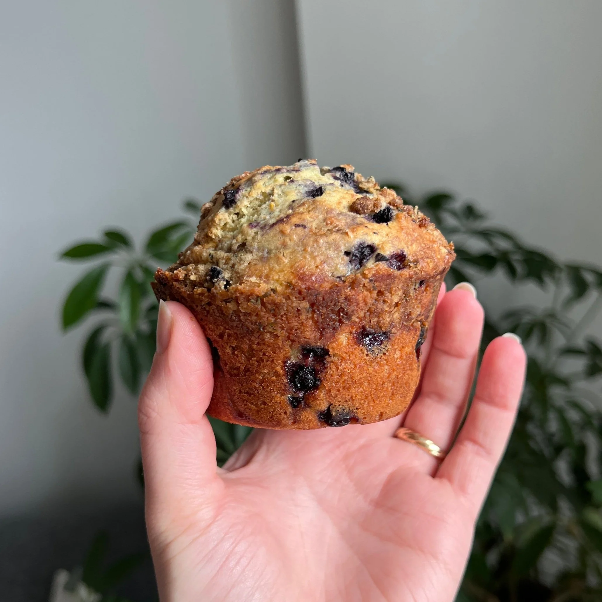 Zesty Blueberry Muffins with Rosemary Crumble