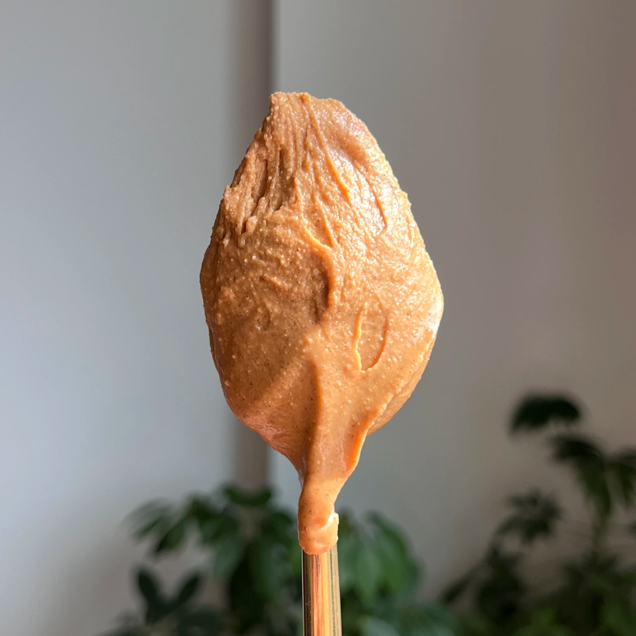 A spoon holding cinnamon honey peanut butter