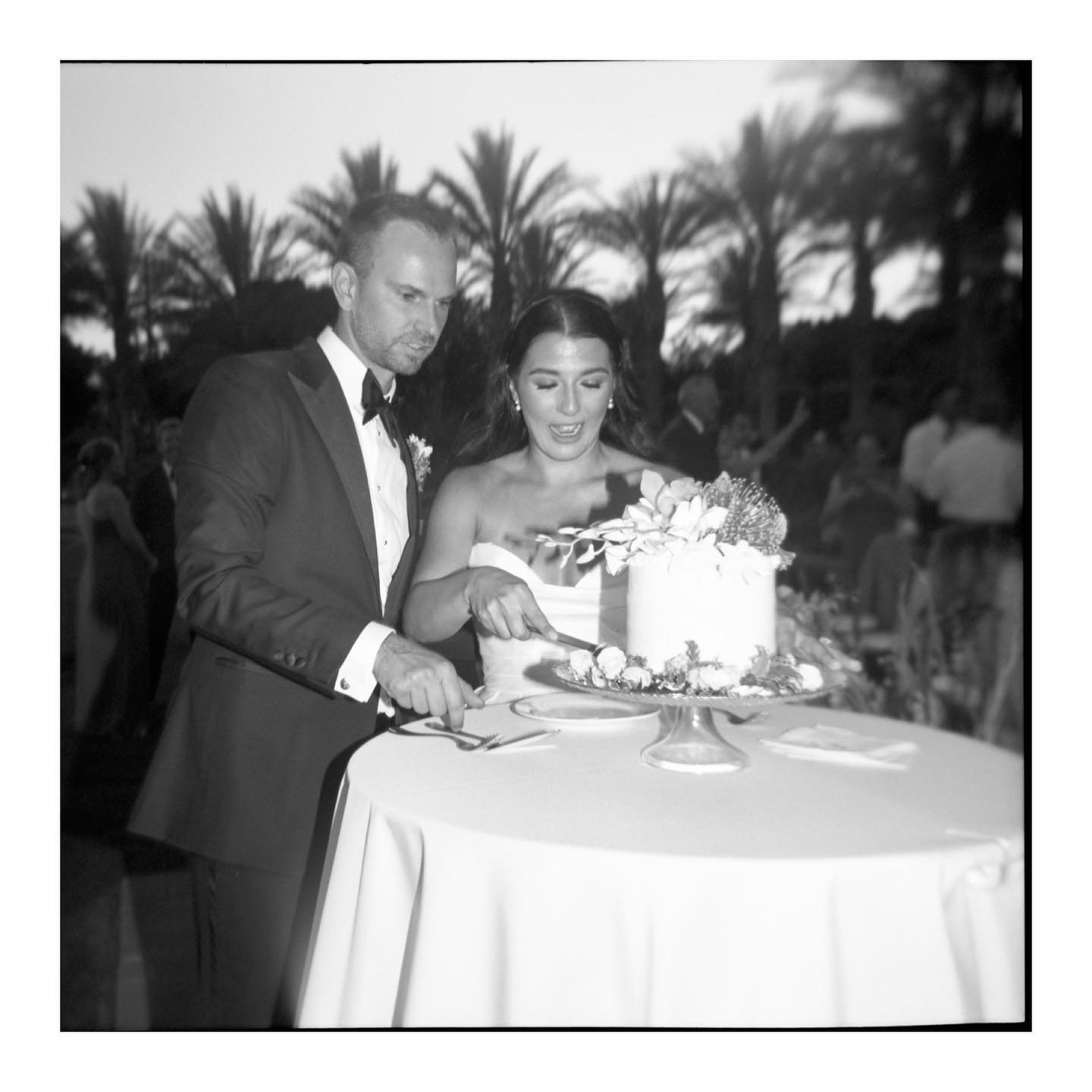 Love a cake cutting, probably one of my favorite classic traditions!
.
.
Planner: @gratitudepdx 
Venue: @old_polo_estate
.
.
#californiafilmweddingphotographer 
#palmspringswedding 
#palmspringsweddingphotographer 
#joshuatreeweddingphotographer 
#ce
