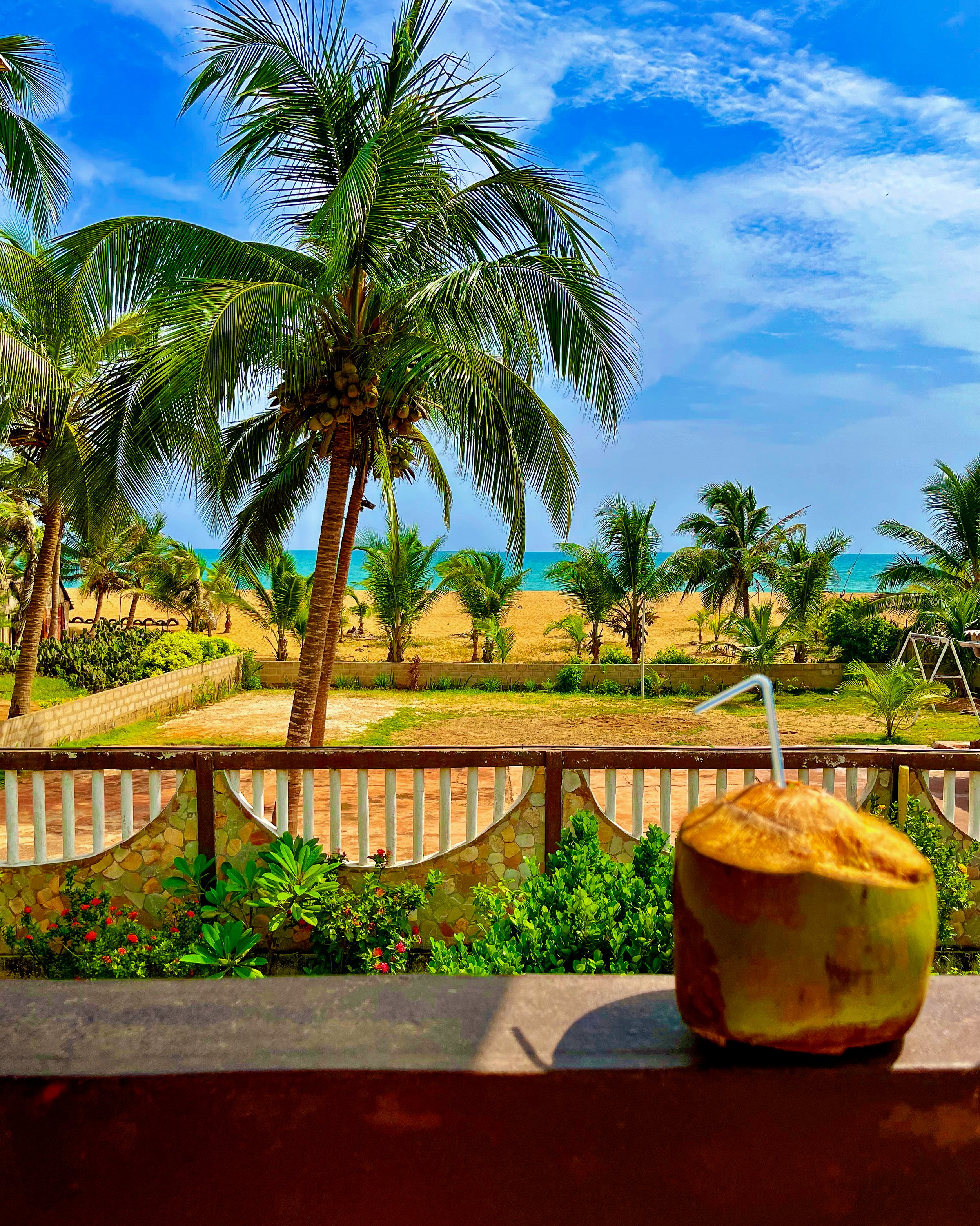 A fresh coconut water overlooking the ocean in Grand Popo, Benin in West Africa. (Copy)