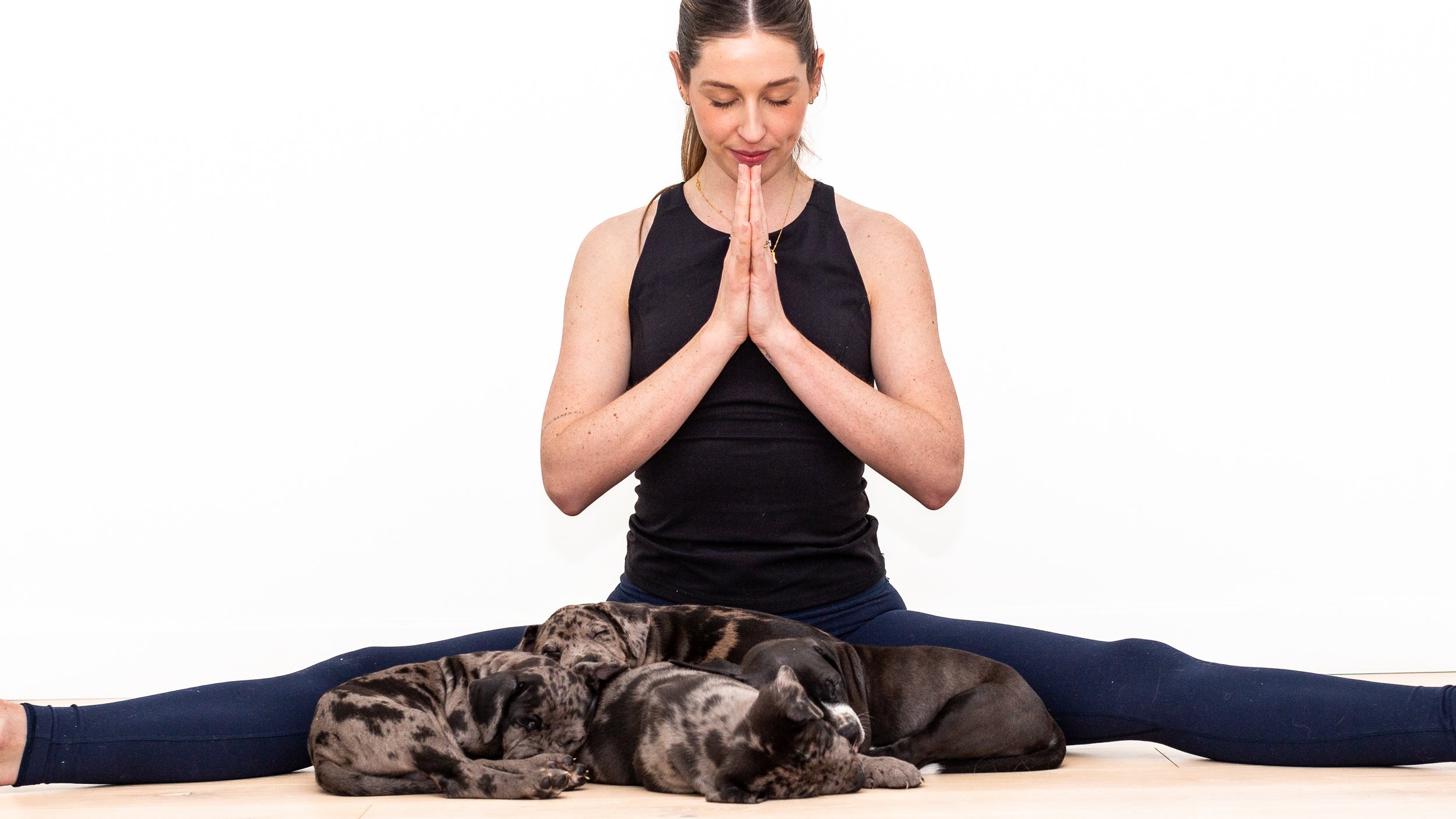 Puppy Yoga London  Combining Yoga & Puppy Cuddling