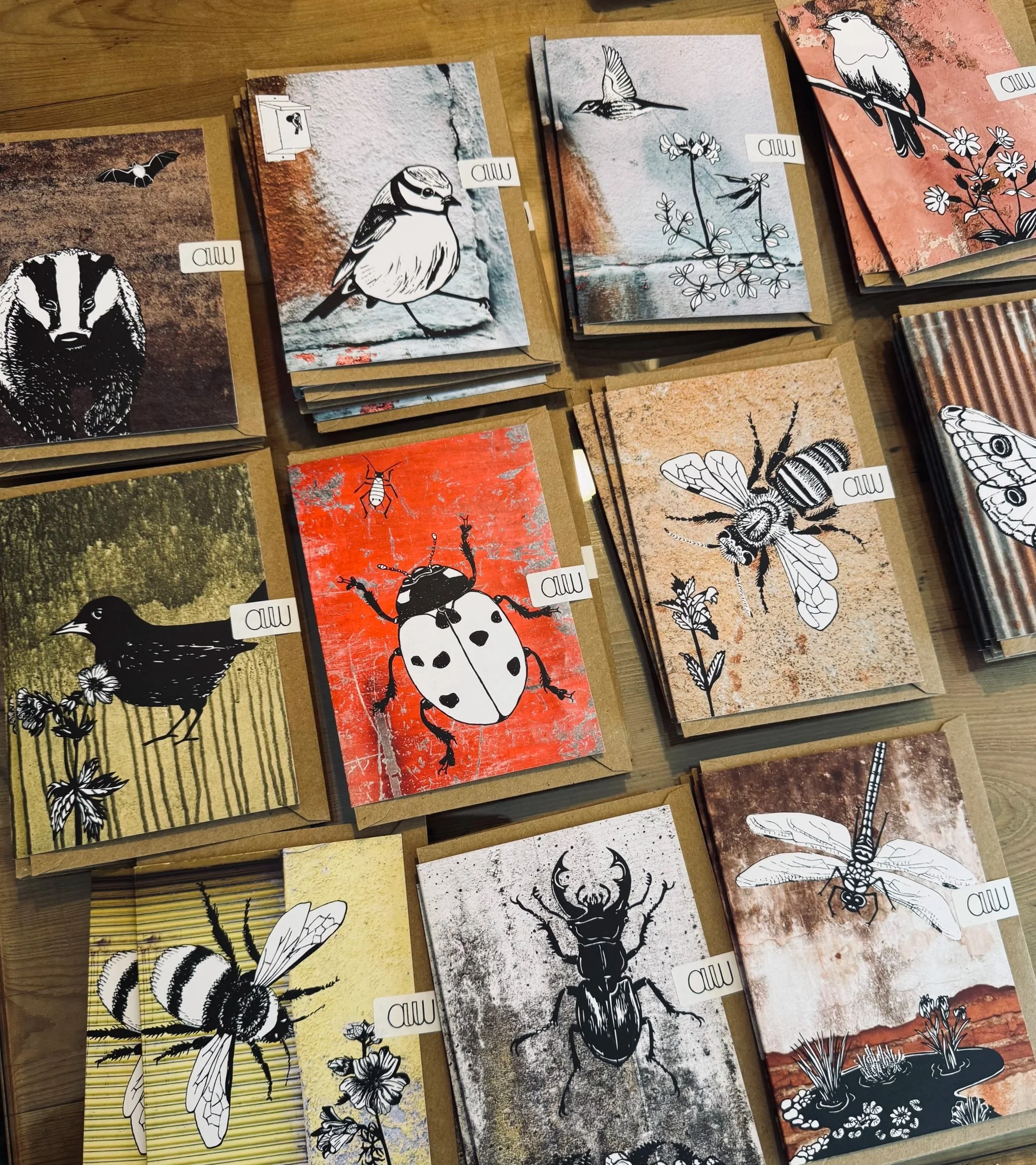 Native Nature Illustrations in collaboration with L&W Community Nature Haven