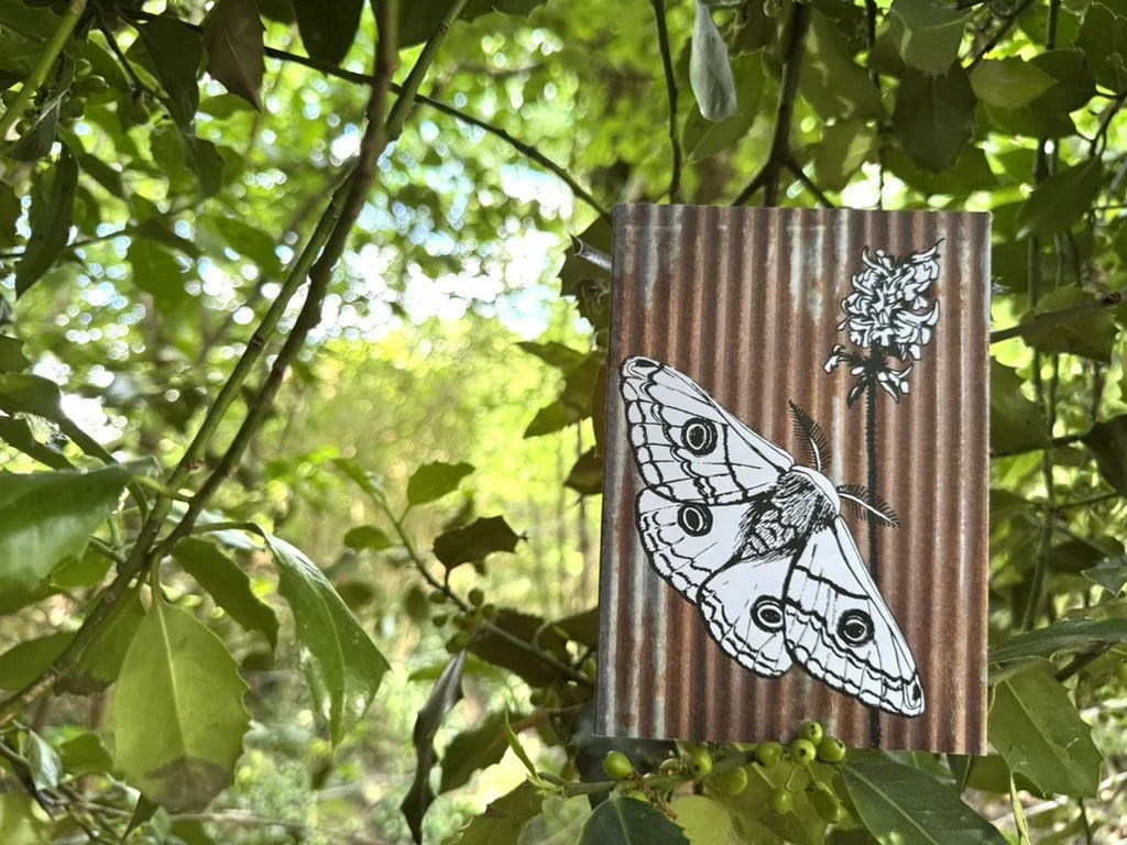 Moth Card in Holly Branches.jpg
