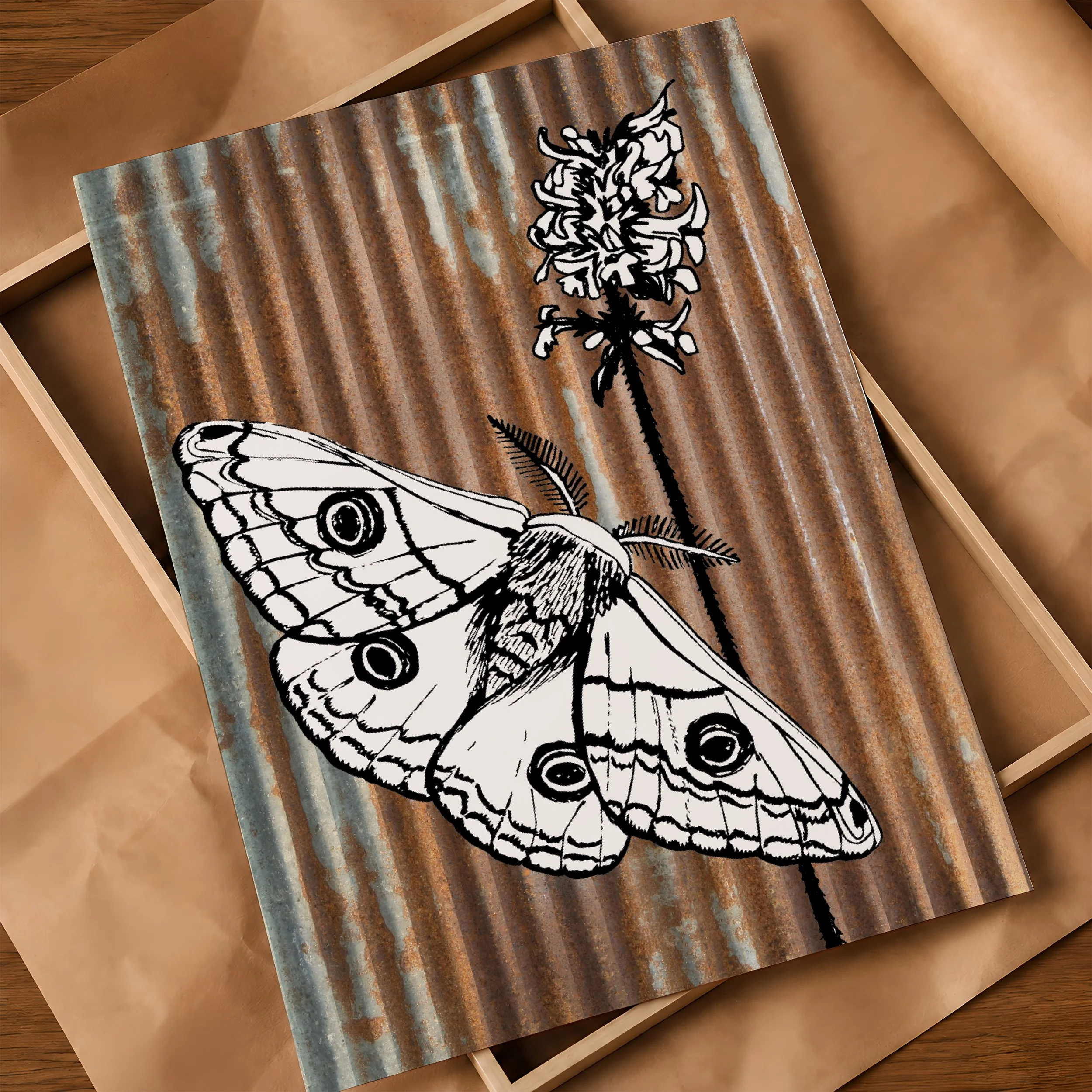 'Moth' Poster on Frame & Brown Paper.jpg