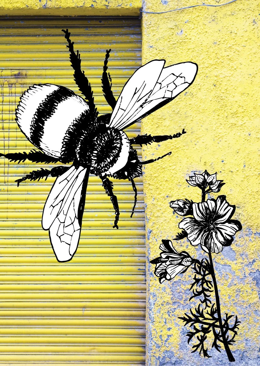 W T Bumblebee & Musk Mallow Flat Image.jpg