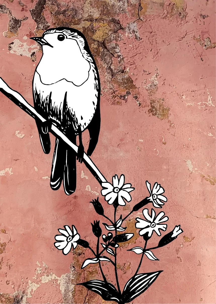 Robin & Red Campion Flat Image.jpg