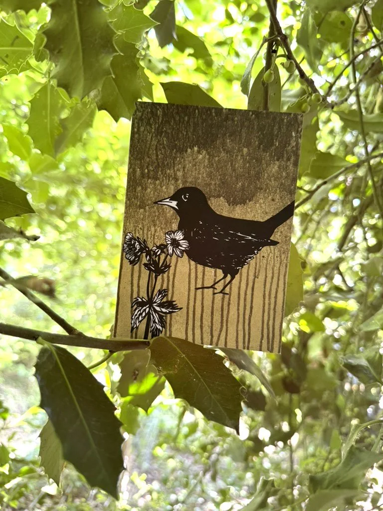 Blackbird Card in Holly Branches.jpg