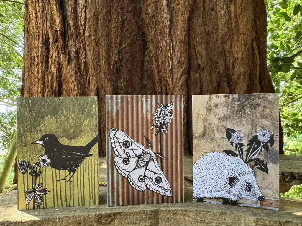 3 Cards On Redwood Shelf.jpg